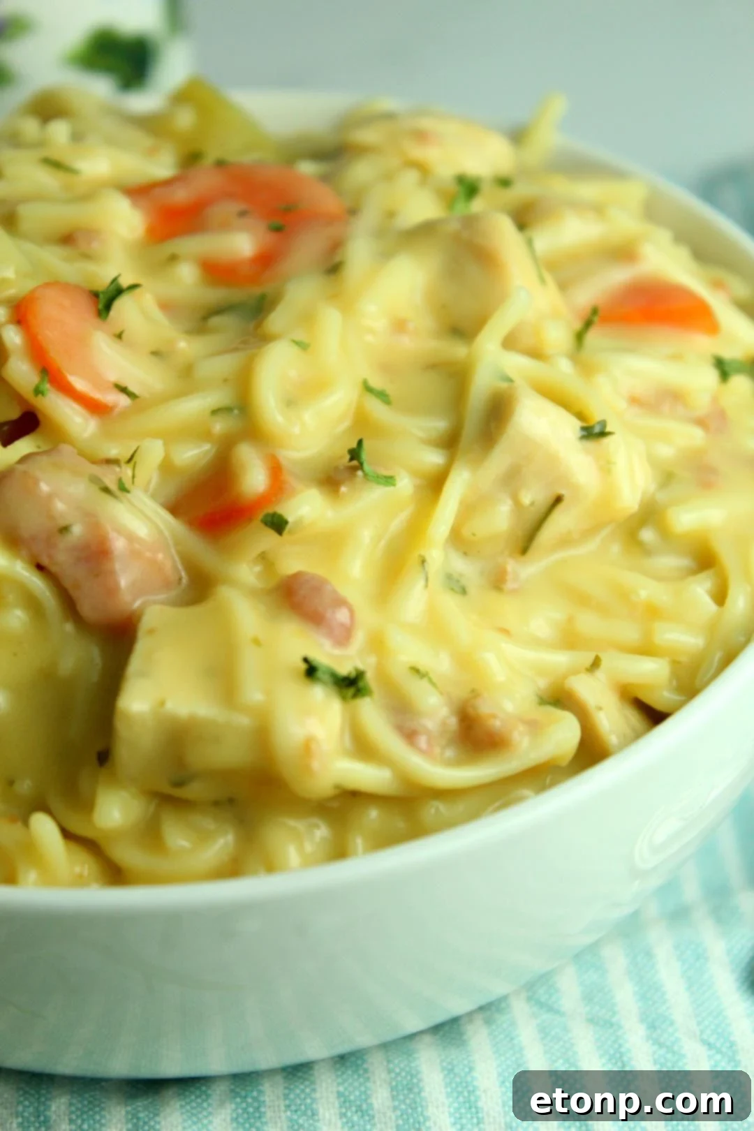 Soup with cheese and bacon toppings