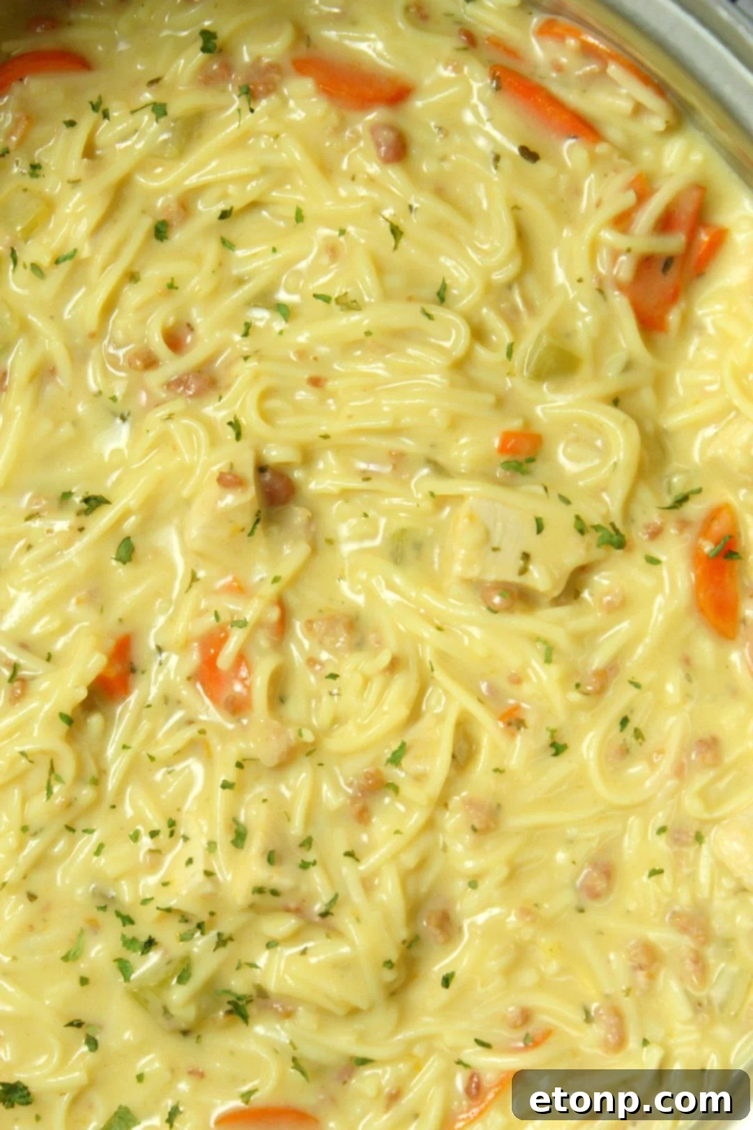 Crack Chicken Noodle Soup simmering