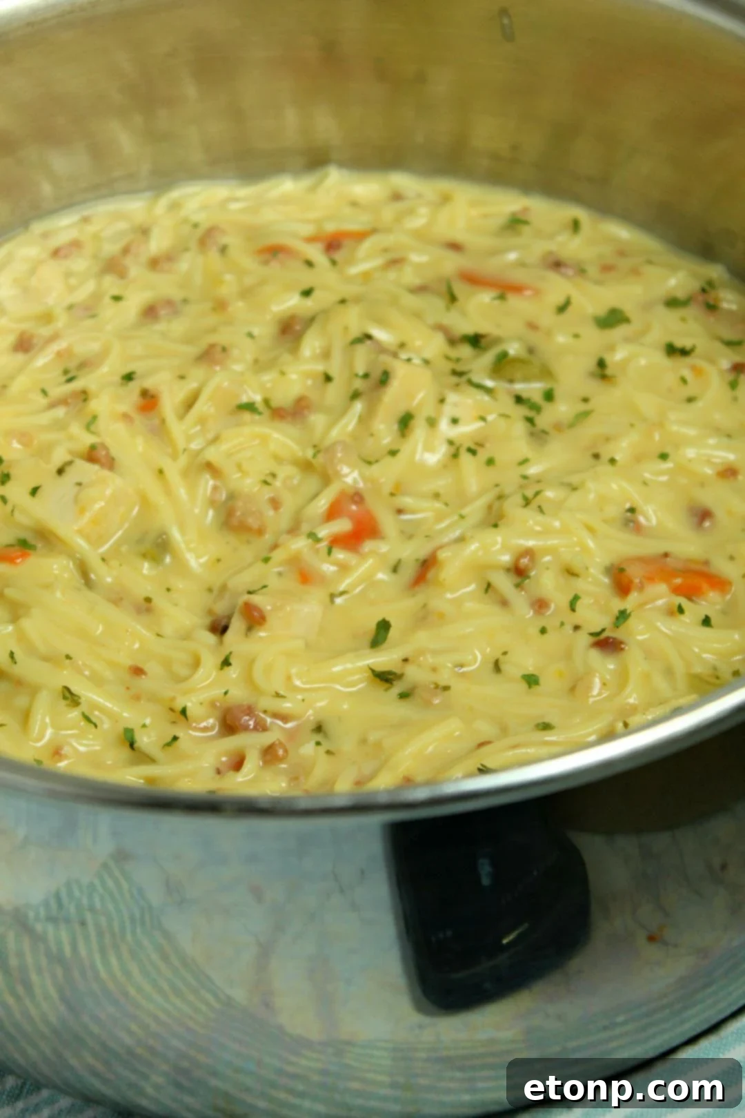 Bowl of Crack Chicken Noodle Soup