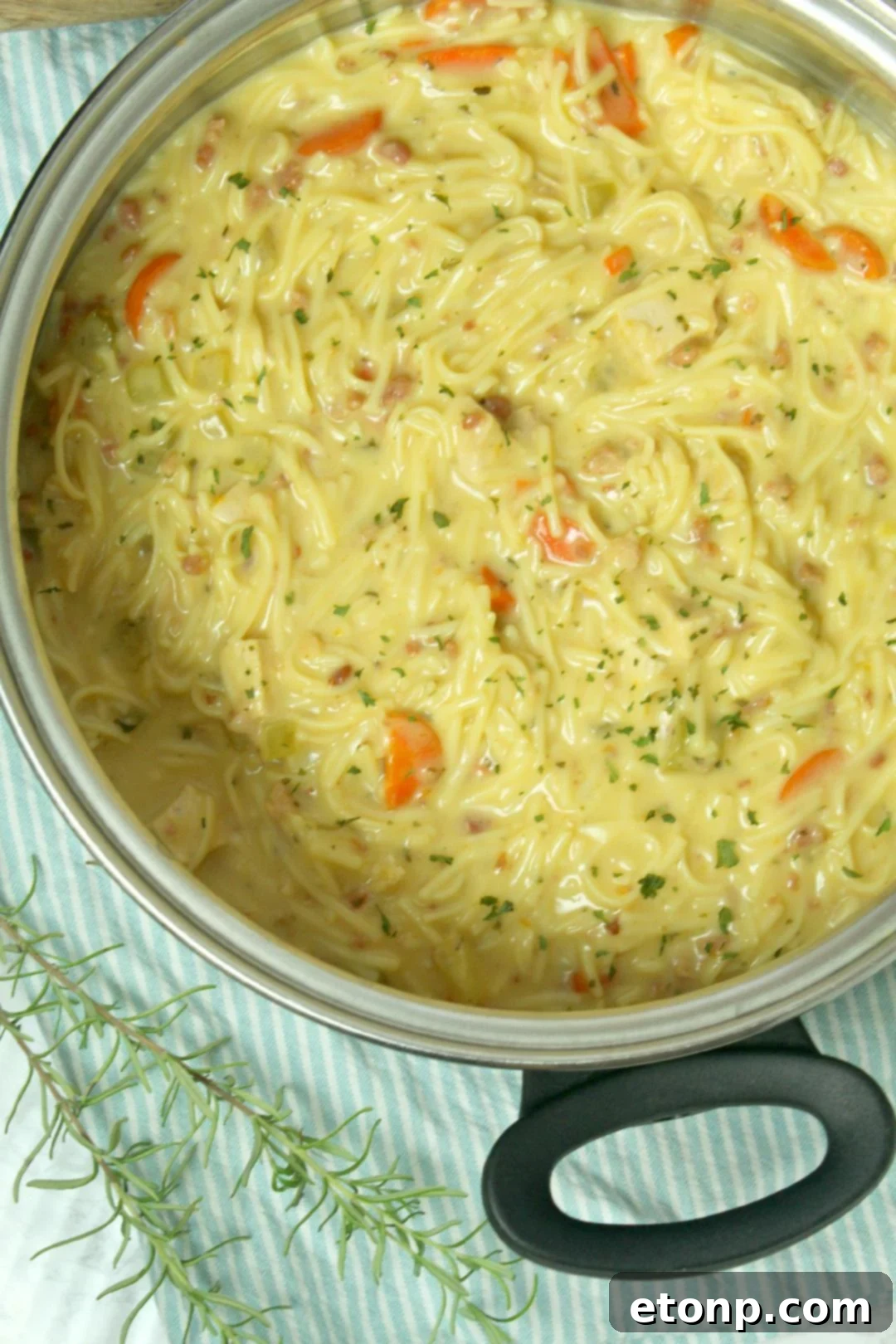Another angle of Crack Chicken Noodle Soup