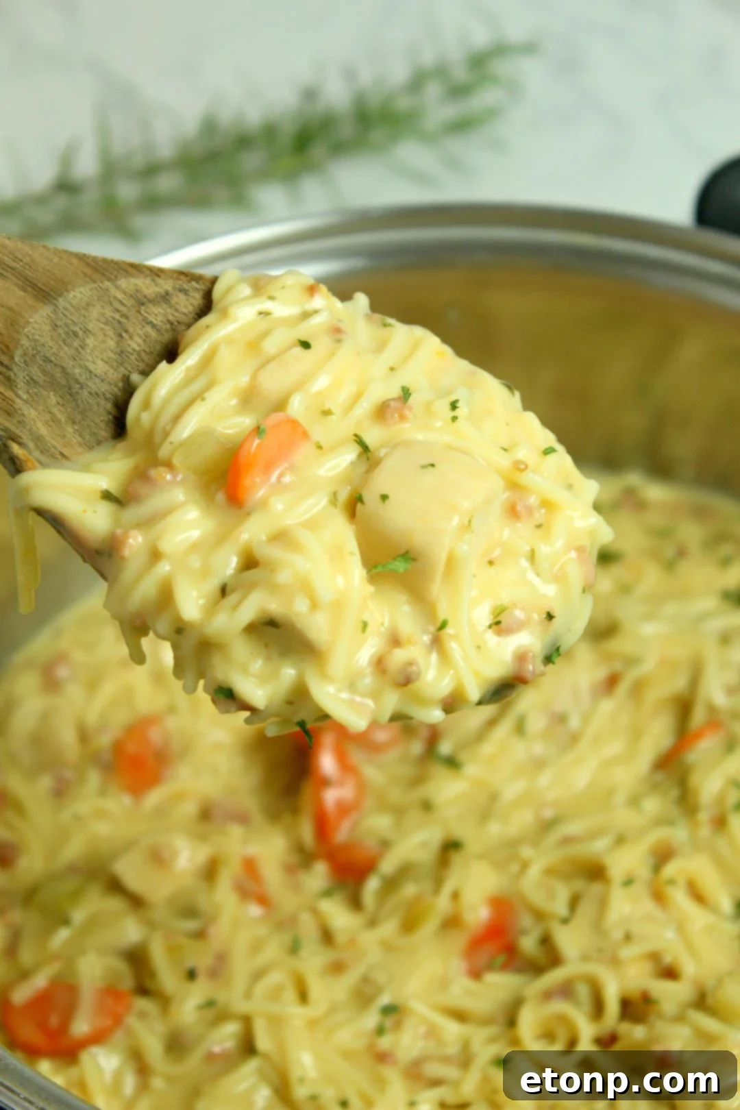Crack Chicken Noodle Soup with bread