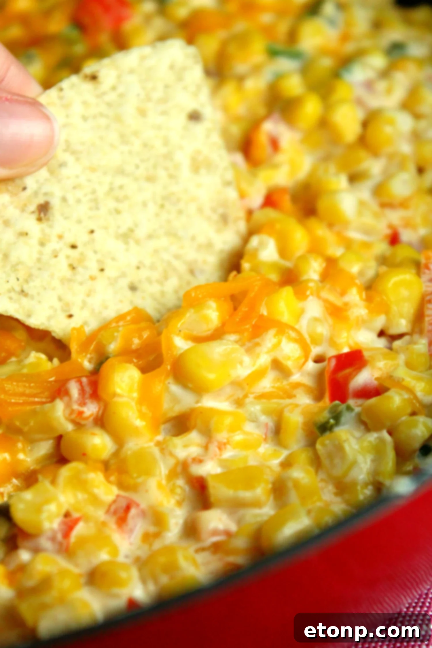 A serving of hot corn dip being scooped from a white bowl onto a plate with tortilla chips, showcasing its rich texture.