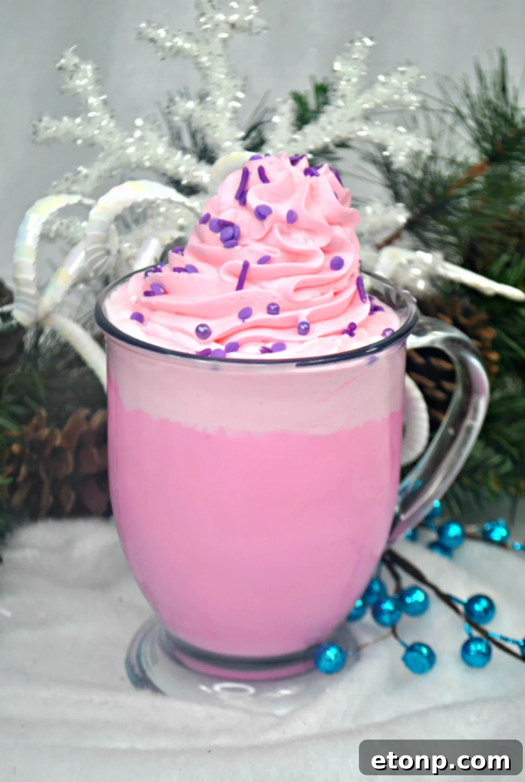 Sugar Plum White Hot Chocolate with Cotton Candy Whipped Cream