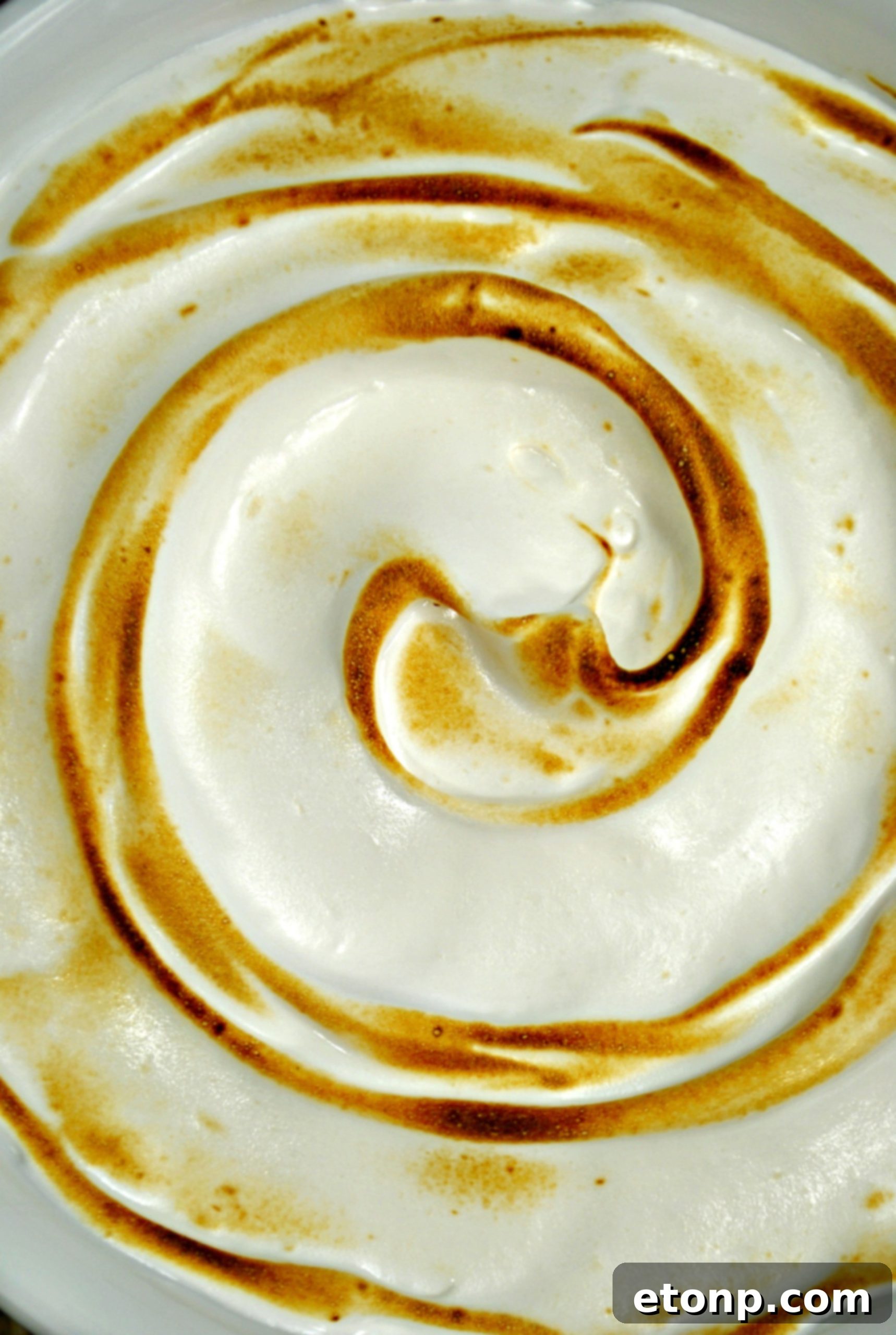 Cupcakes frosted with toasted marshmallow frosting, ready to serve