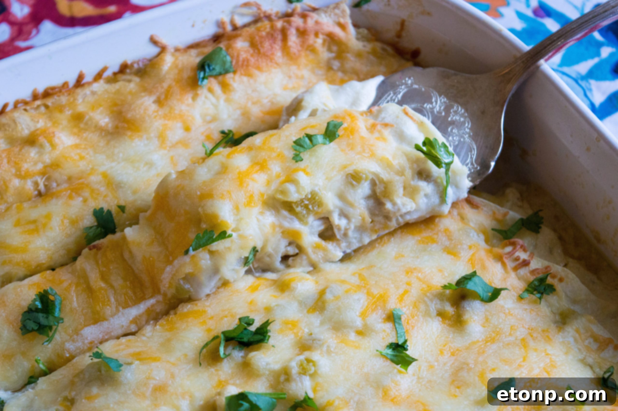 A beautifully plated serving of White Chicken Enchiladas, garnished and ready to be enjoyed