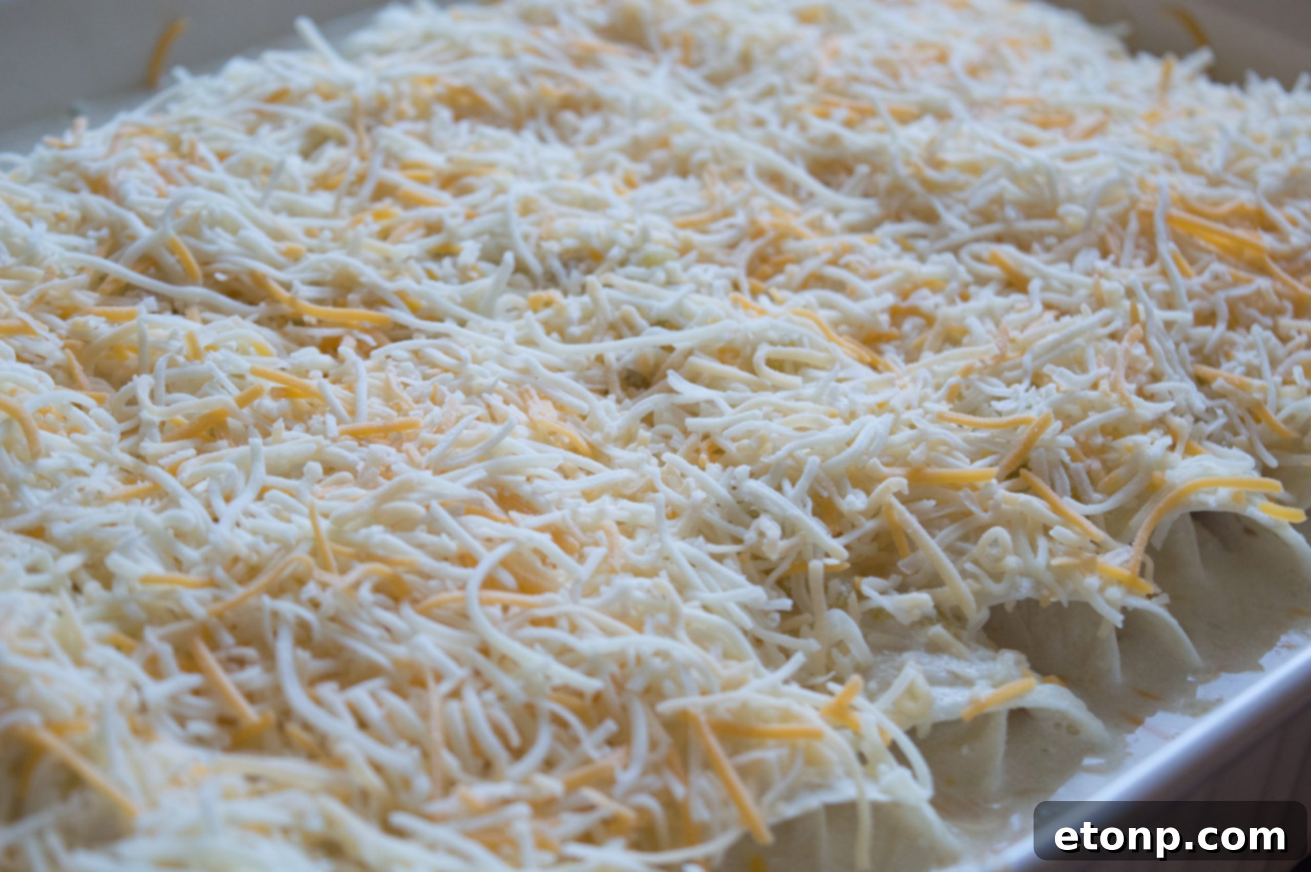 A serving of creamy White Chicken Enchiladas, perfectly portioned and ready to eat