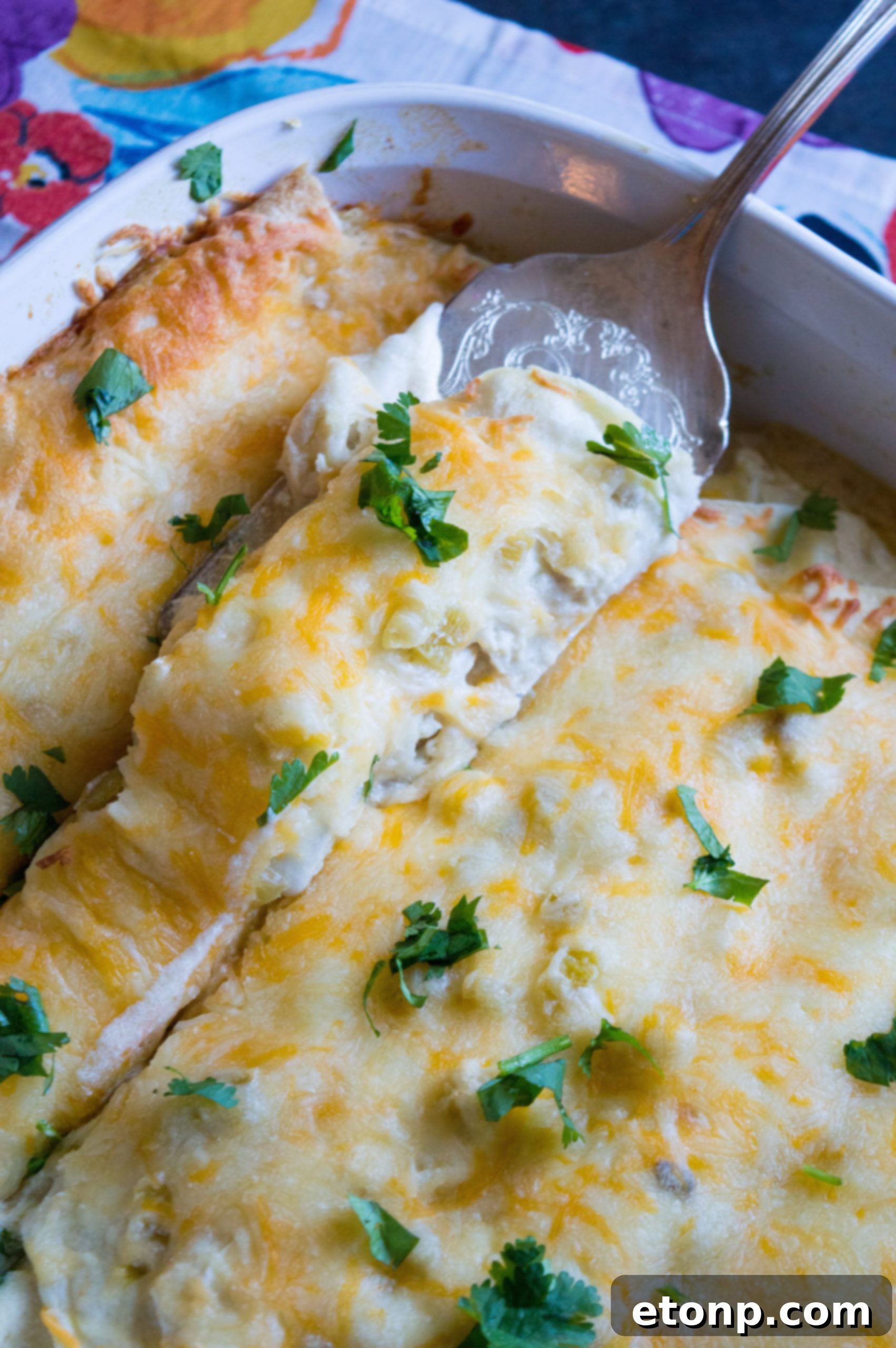 A full tray of freshly baked White Chicken Enchiladas, golden and bubbling, fresh from the oven
