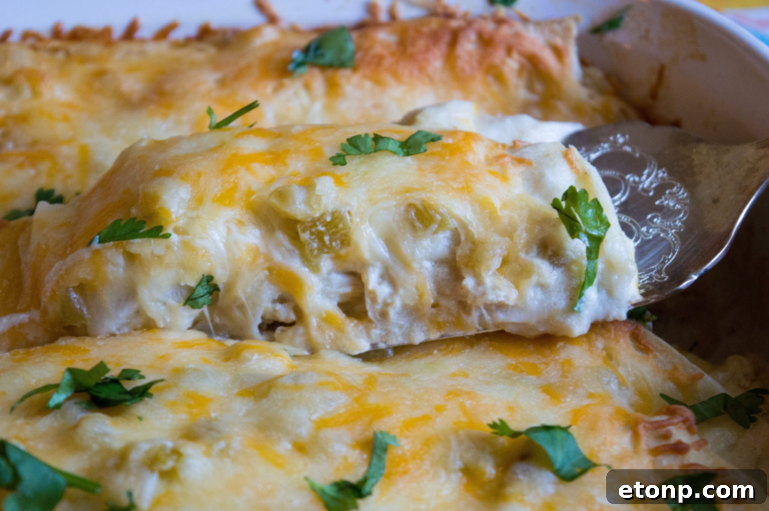Two freshly prepared White Chicken Enchiladas plated and topped with sauce, ready for a delicious meal