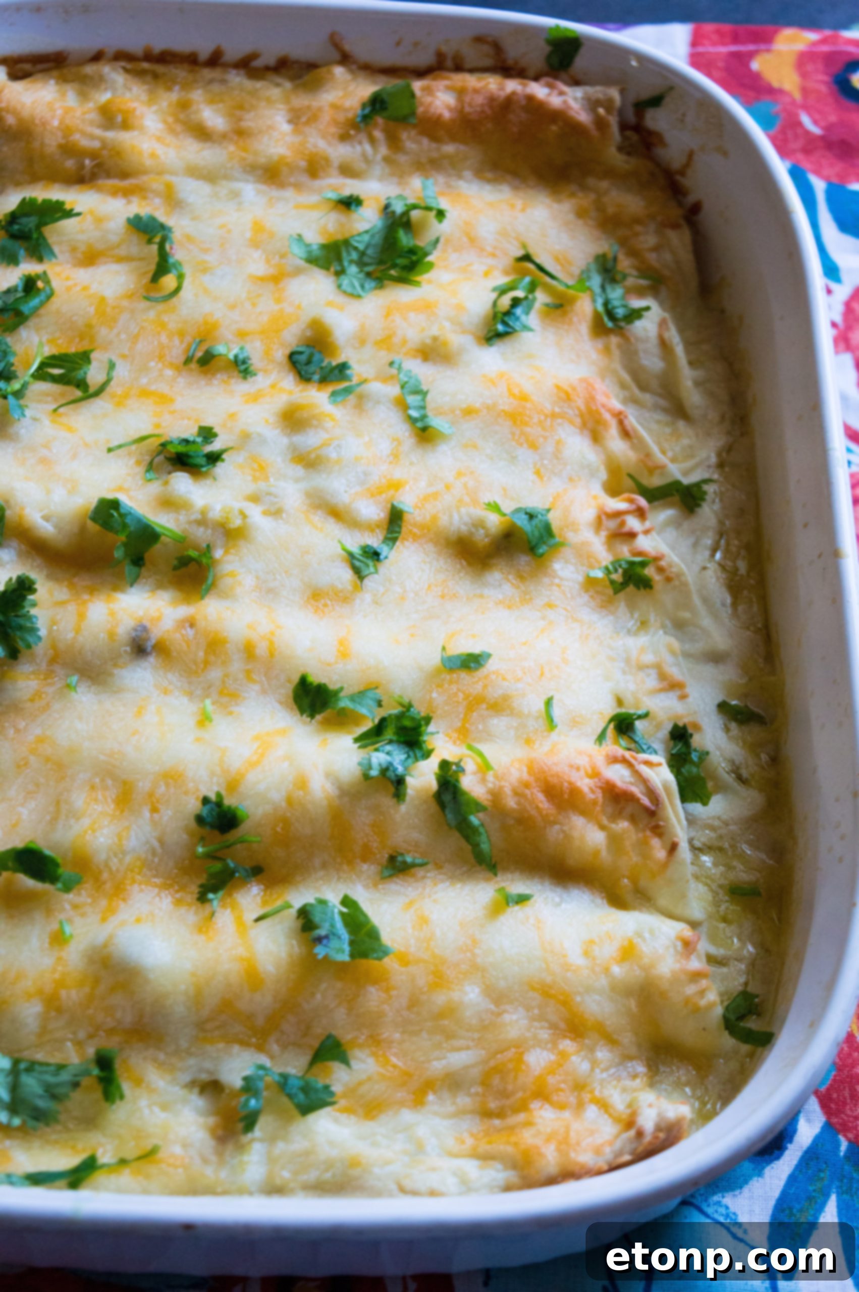 A large baking dish filled with golden-brown White Chicken Enchiladas, recently taken out of the oven