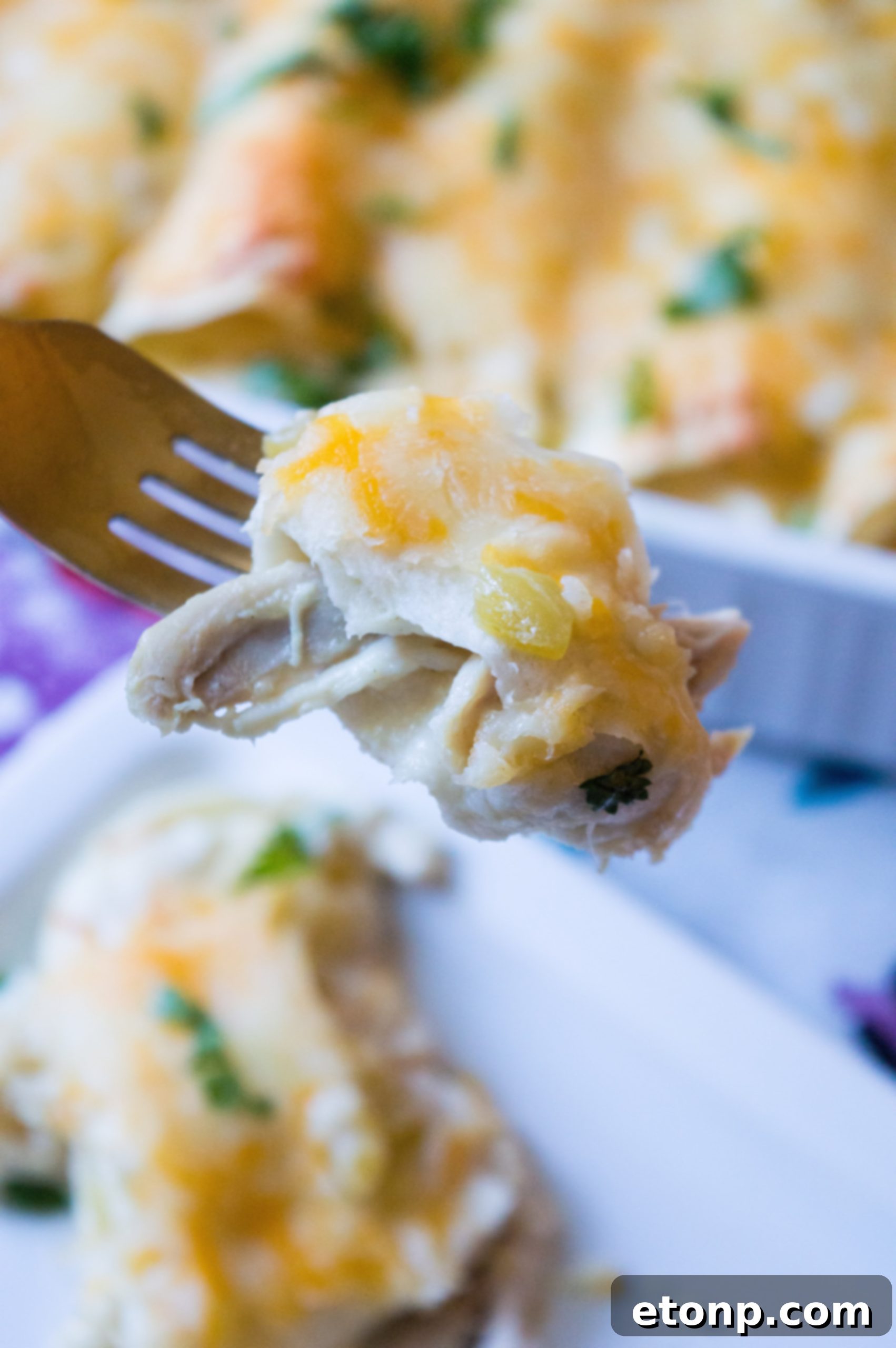 Another close-up shot of a White Chicken Enchilada, highlighting the creamy sauce and perfectly melted cheese