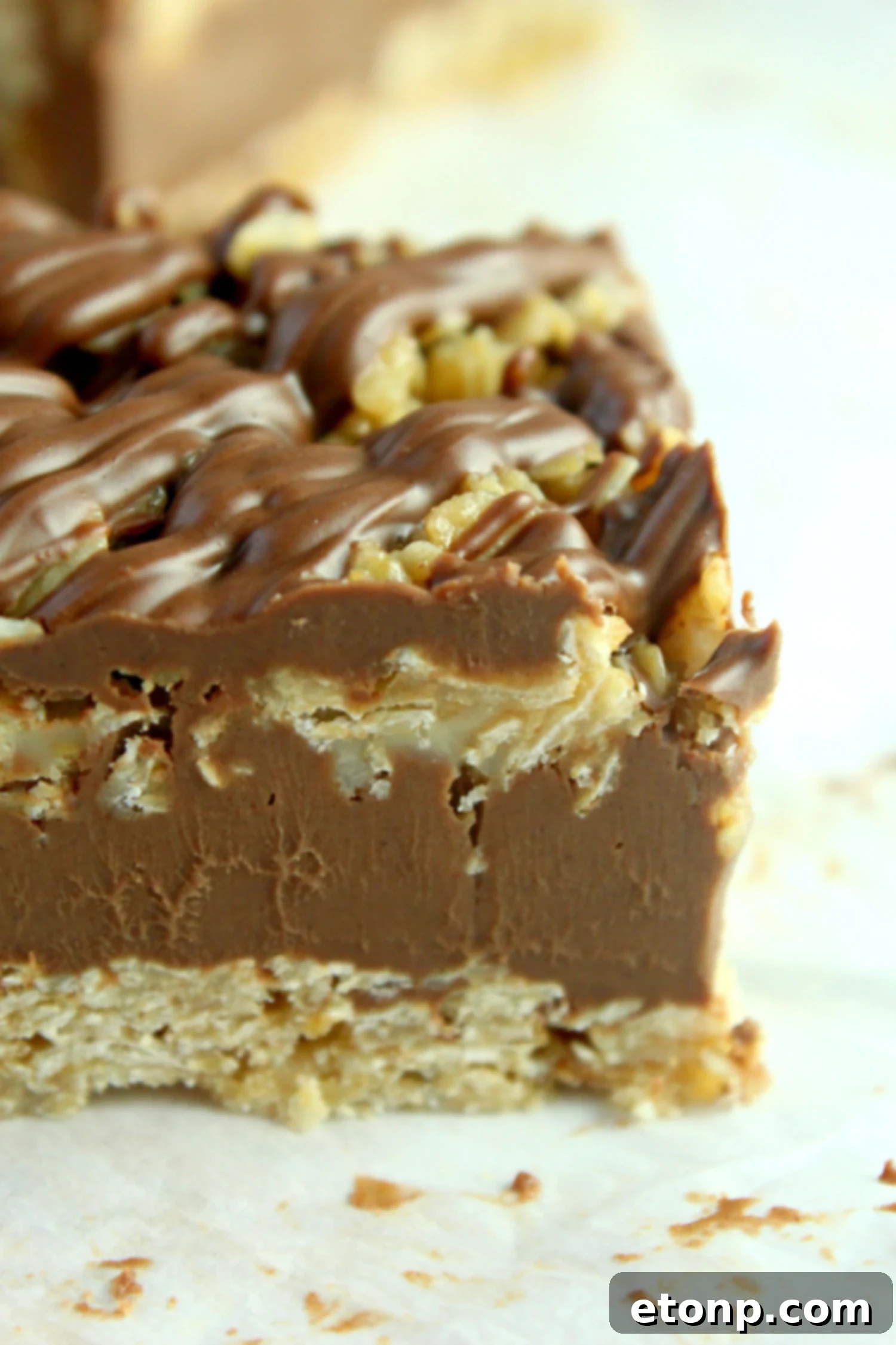 Effortless Chocolate Oatmeal Bliss Bars 8 Several no-bake chocolate oatmeal bars on a festive background