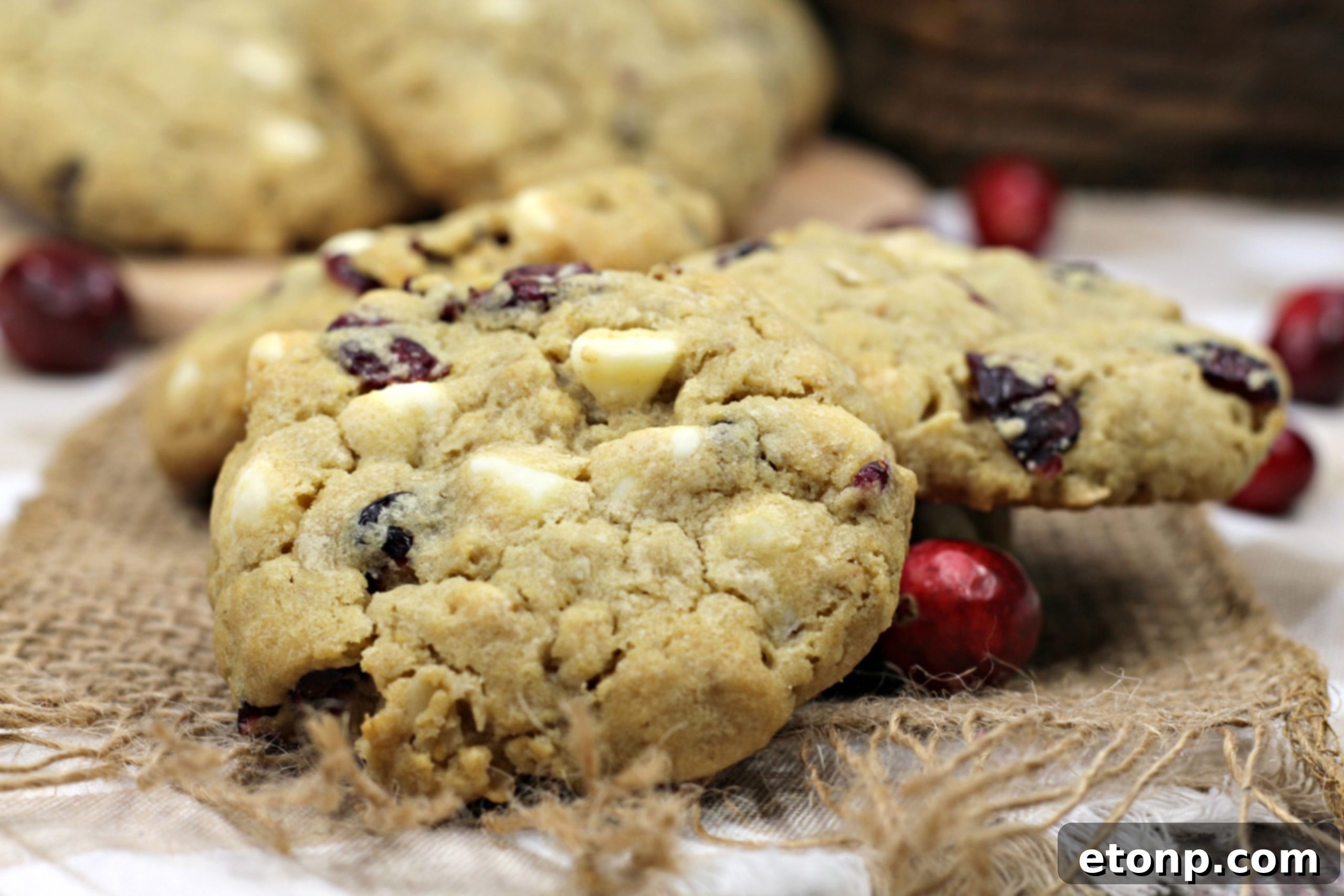 A hand reaching for a perfectly golden-brown Cranberry White Chocolate Oatmeal Cookie from a cooling rack, highlighting its fresh-baked appeal.