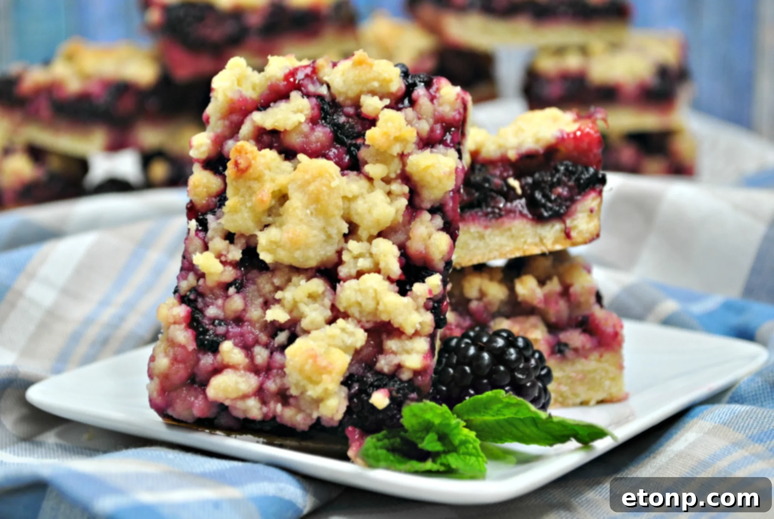 A plate of freshly baked blackberry pie crumble bars, ready to be served at a gathering or holiday event, highlighting their inviting presentation.