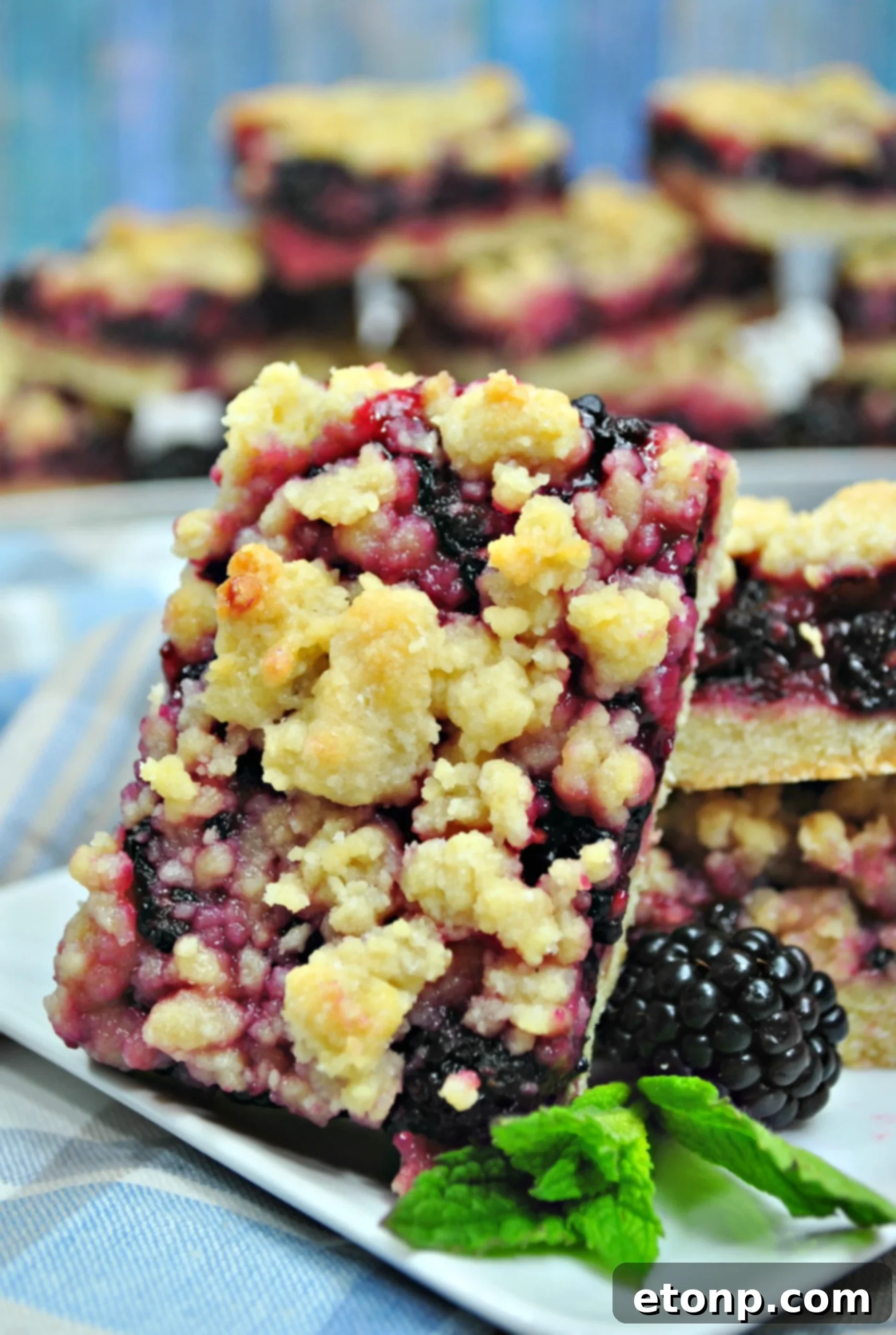 A slice of blackberry crumble bar revealing the vibrant purple fruit filling and the distinct layers of crust and crumble.
