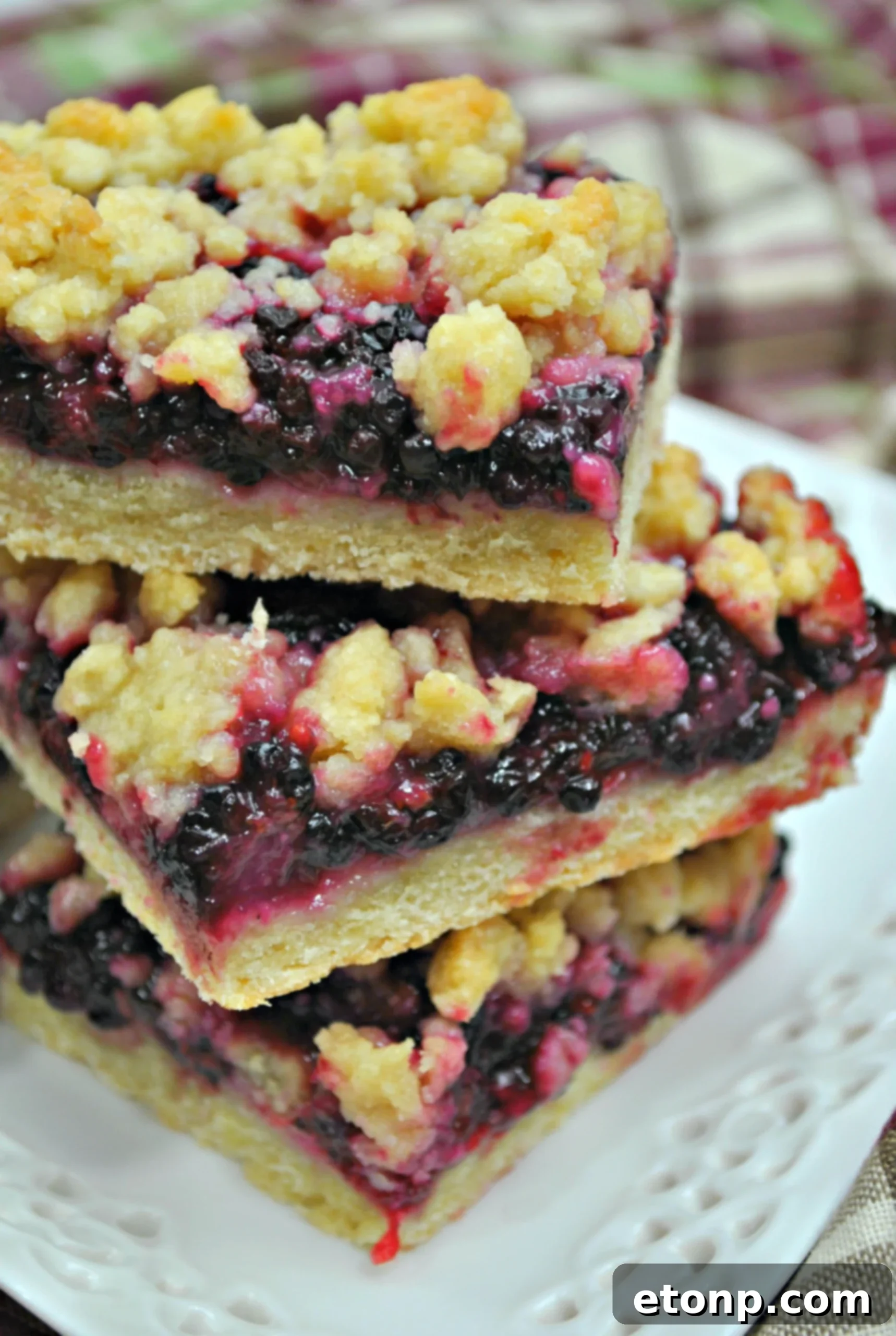 An overhead shot of an entire pan of baked blackberry crumble bars, demonstrating the uniform golden topping and inviting appearance.