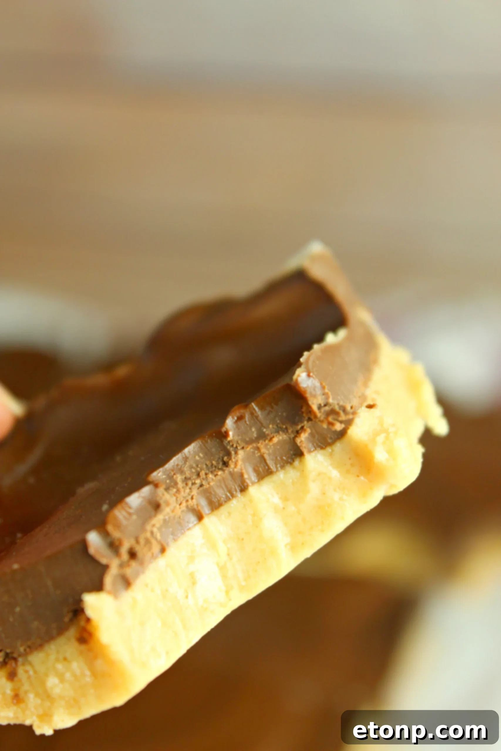A selection of the simple ingredients used for No-Bake Peanut Butter Cup Bars