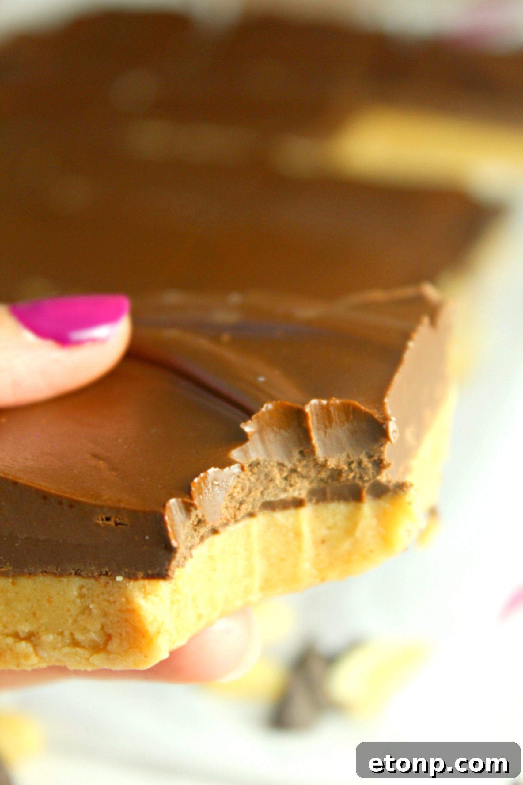 A serving of No-Bake Peanut Butter Cup Bars on a plate, ready to be enjoyed