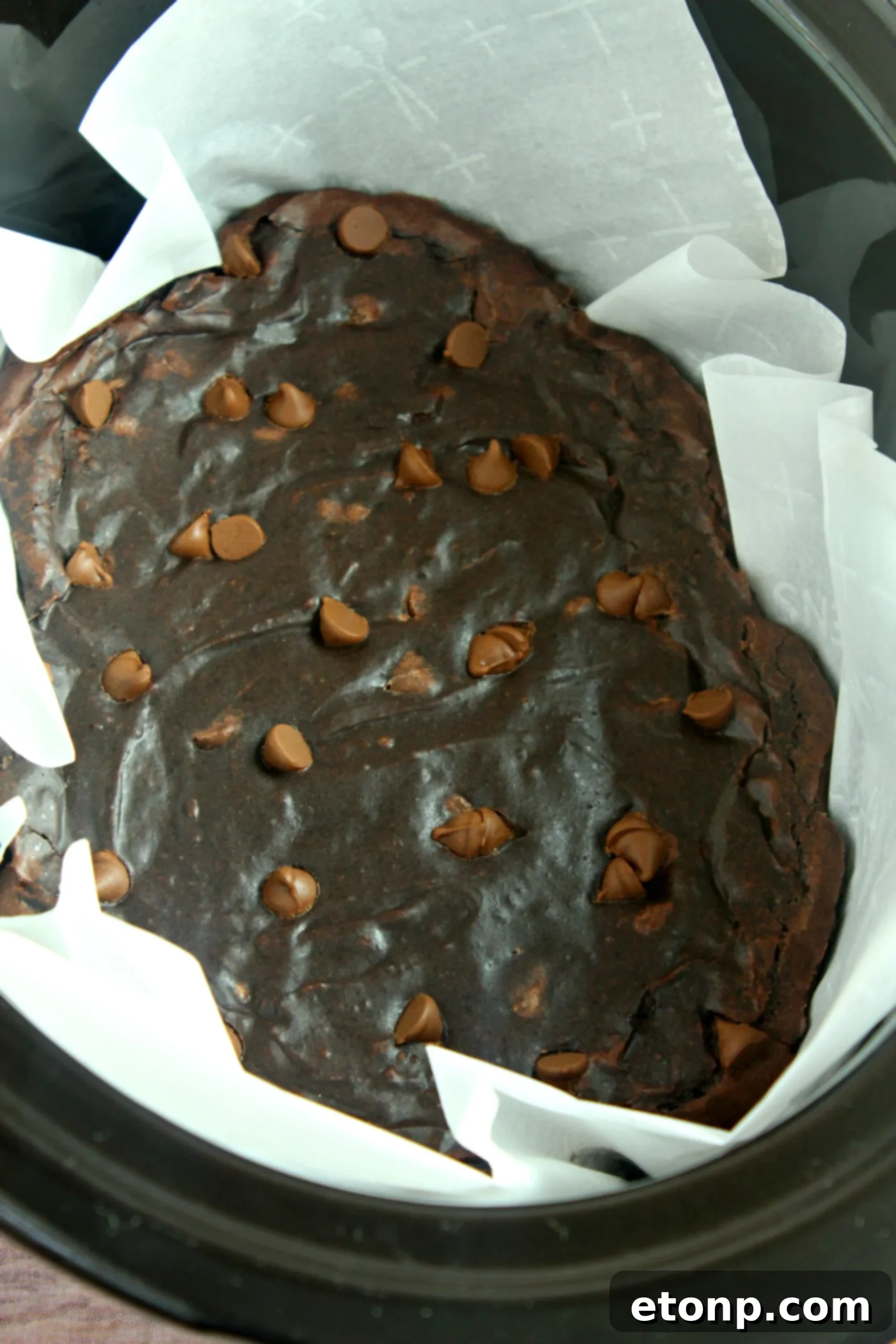 Close-up of a freshly baked slow cooker chocolate lava brownie, highlighting its moist interior and melted chocolate chips