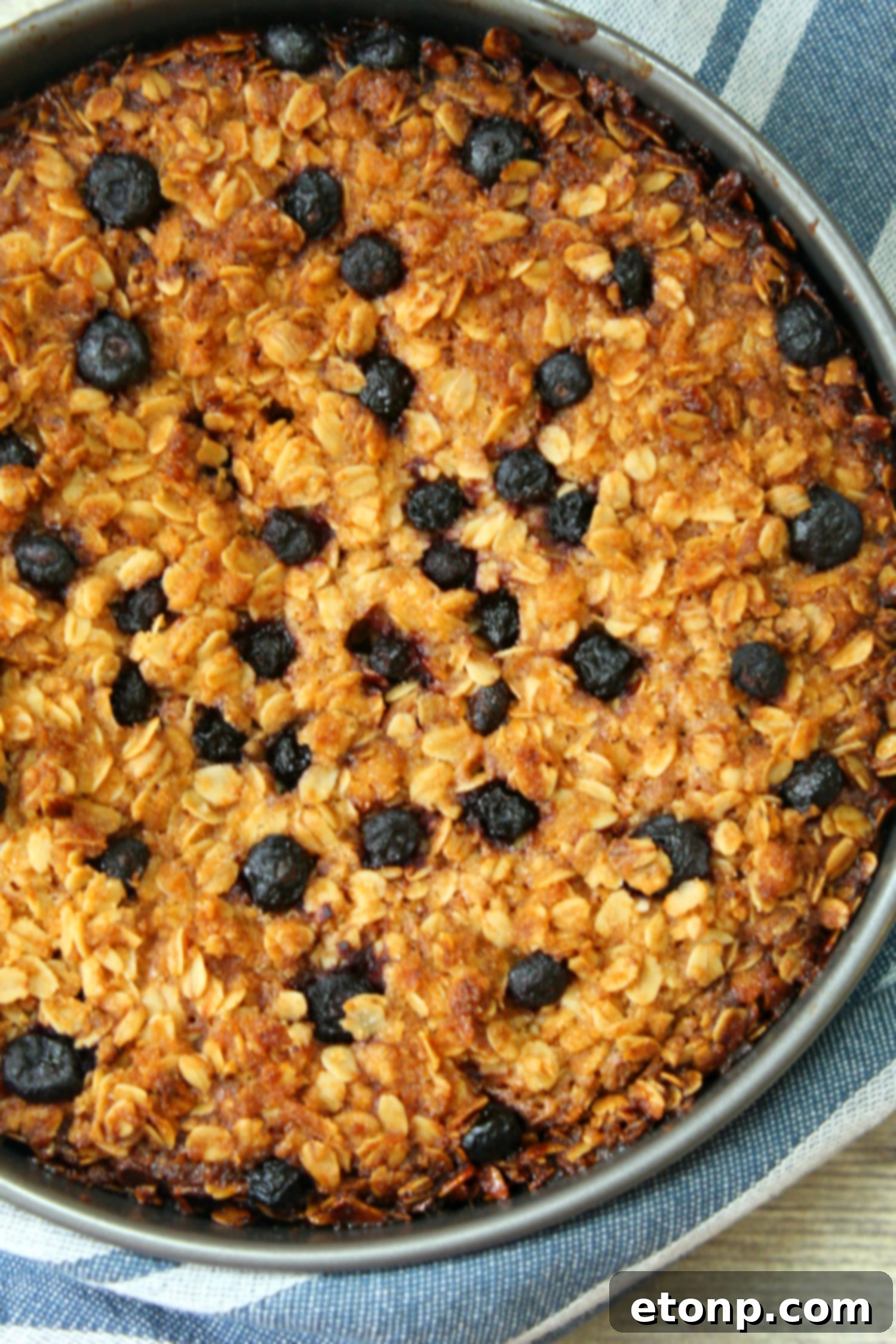 Close-up shot of a slice of blueberry cream cheese coffeecake, showing the creamy swirl and blueberries.