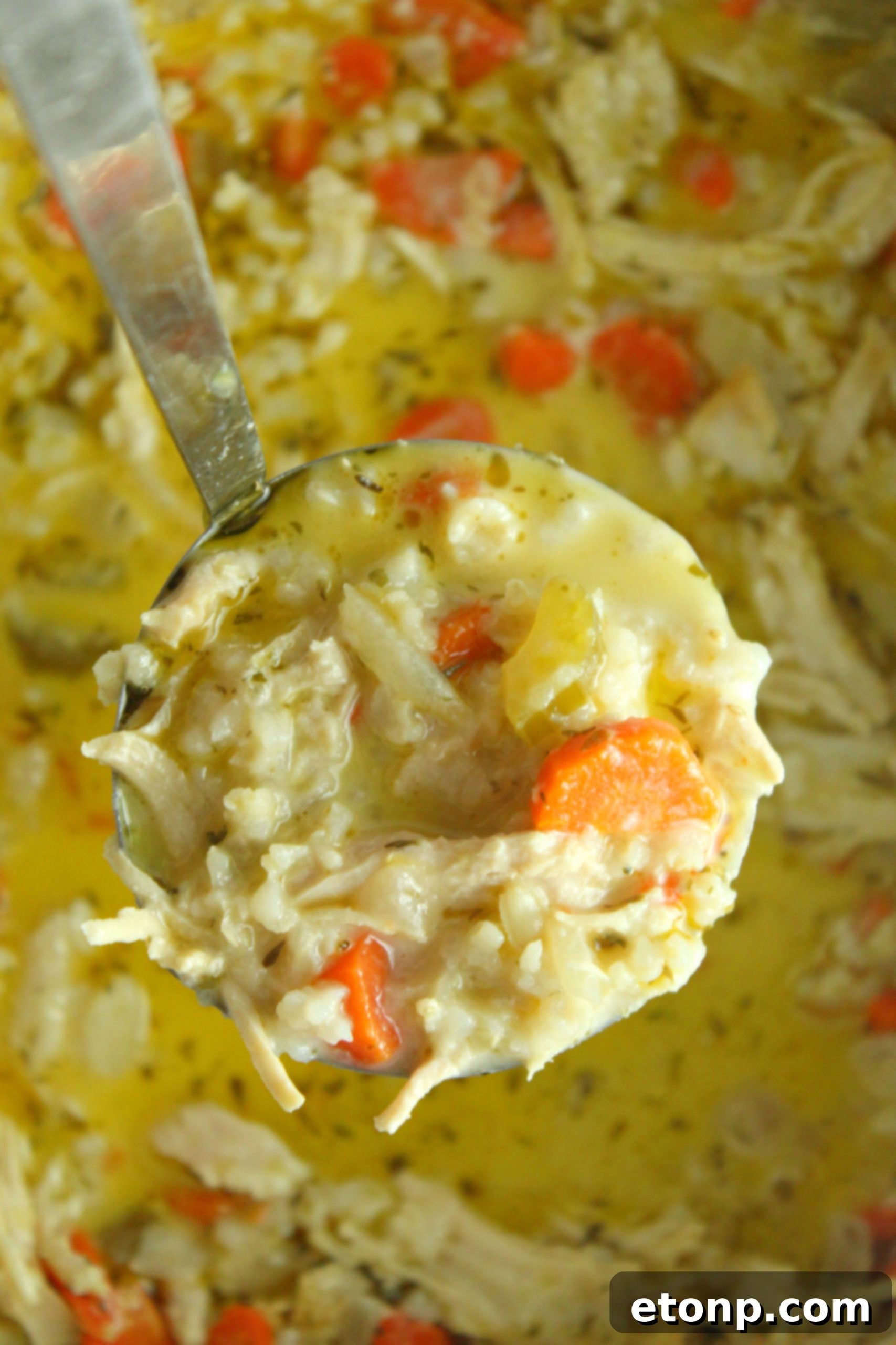 Easy Chicken and Rice Soup 9 A full pot of creamy chicken and rice soup, ready to be served, emitting steam.