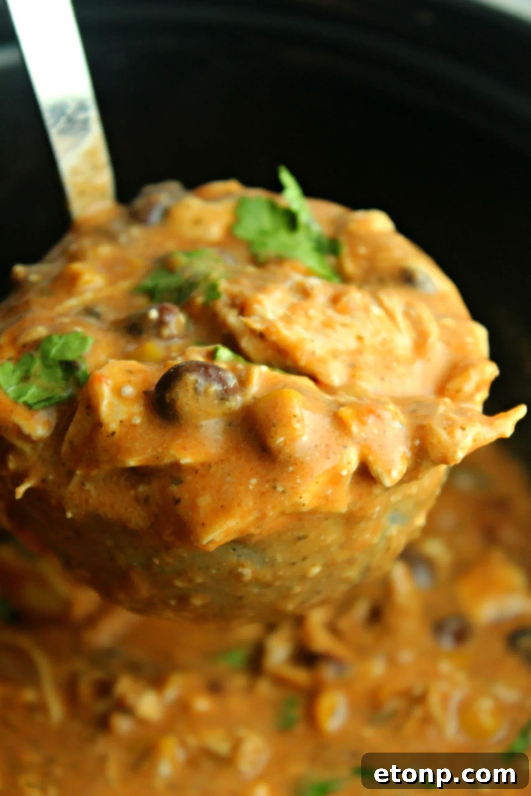 Creamy Slow Cooker Chicken Chili with Cream Cheese 2 A bowl of creamy Slow Cooker Cream Cheese Chicken Chili topped with sour cream and shredded cheese, ready to be served.