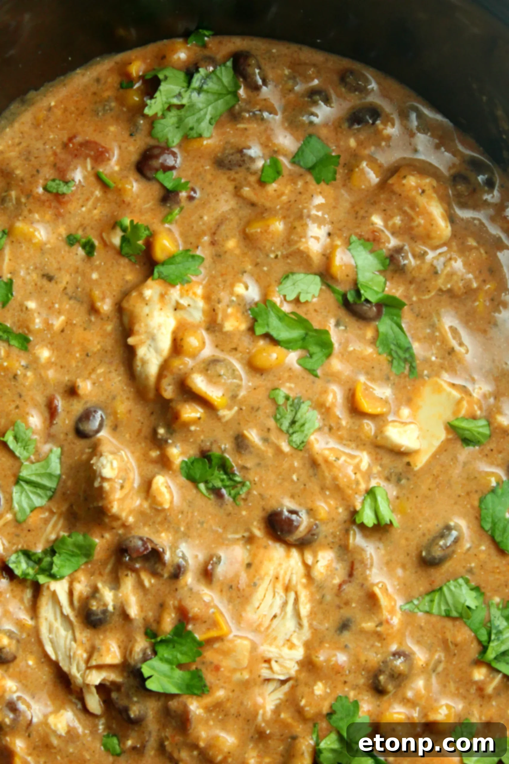 Creamy Slow Cooker Chicken Chili with Cream Cheese 3 Close-up of Slow Cooker Cream Cheese Chicken Chili in a bowl, showcasing the creamy texture and rich color.