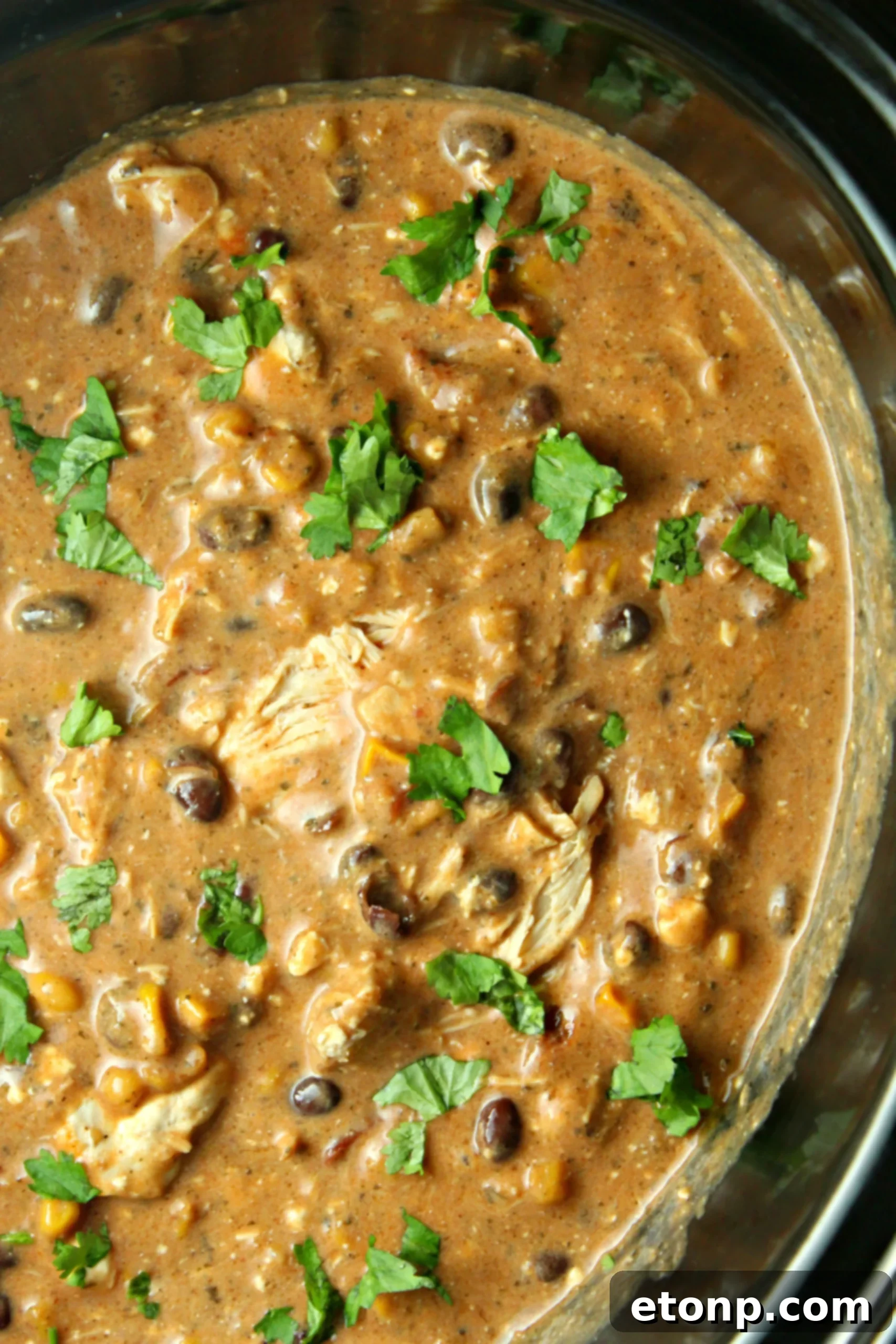 Creamy Slow Cooker Chicken Chili with Cream Cheese 5 Another perspective of the creamy Slow Cooker Cream Cheese Chicken Chili, emphasizing its inviting appearance.