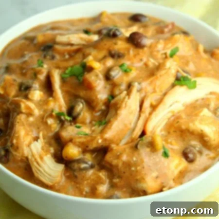 Slow Cooker Cream Cheese Chicken Chili recipe feature image.