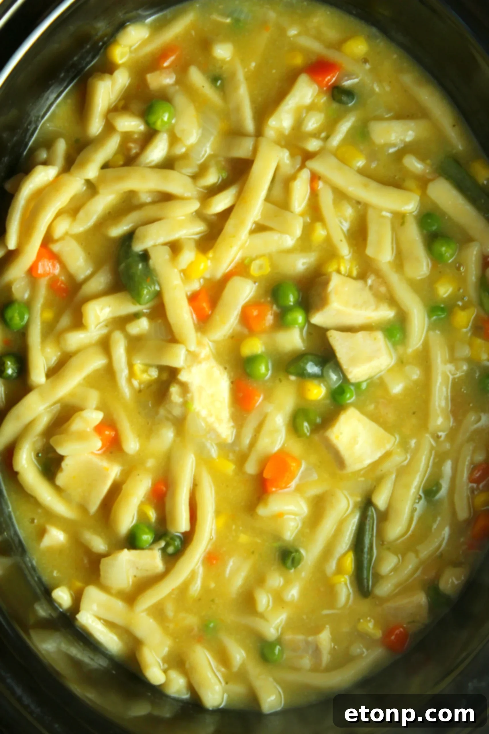 Close-up shot of a rich, creamy chicken noodle soup featuring tender chicken, egg noodles, and diced vegetables.