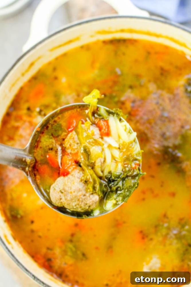 A vibrant, hearty Tuscan meatball soup simmering in a large pot, rich with vegetables and broth.