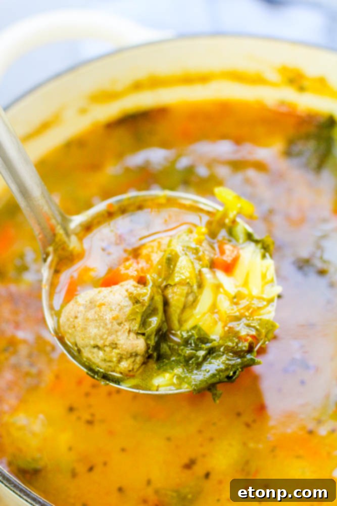 A beautifully composed bowl of Tuscan meatball soup, showcasing its rich texture and hearty ingredients, ready to be enjoyed.
