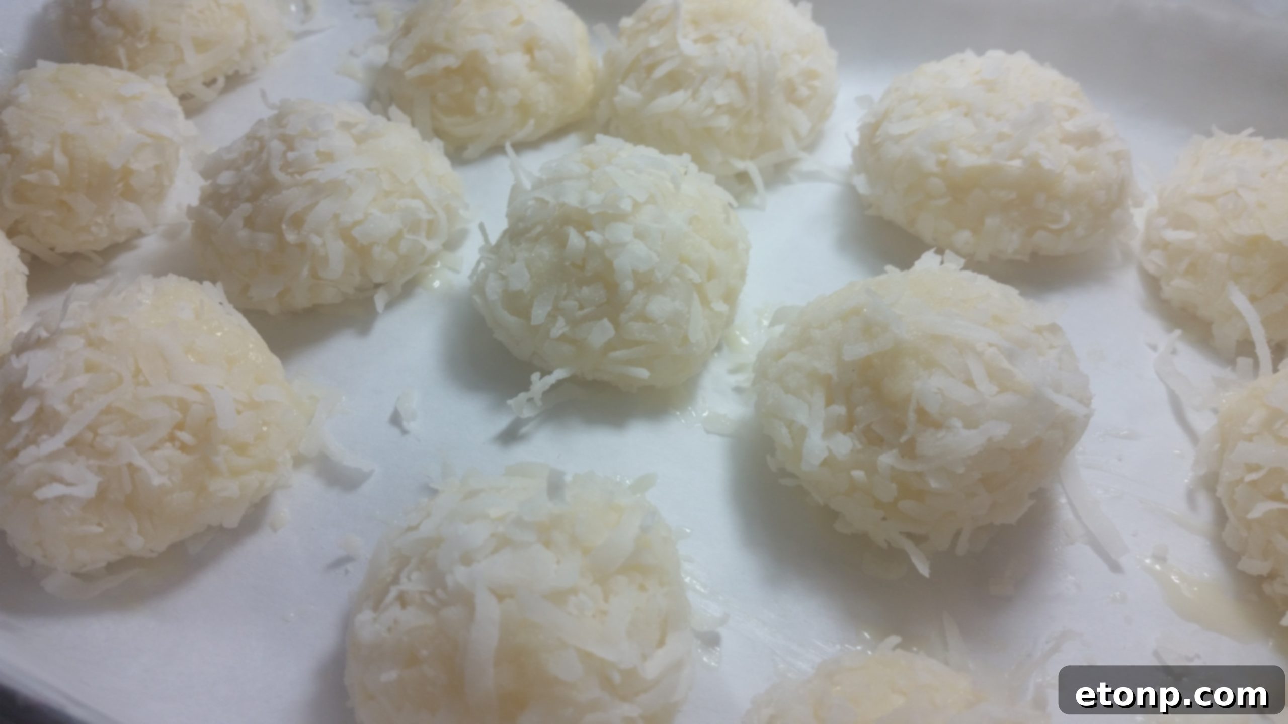 Close-up of a single perfect coconut snowball ready to be enjoyed