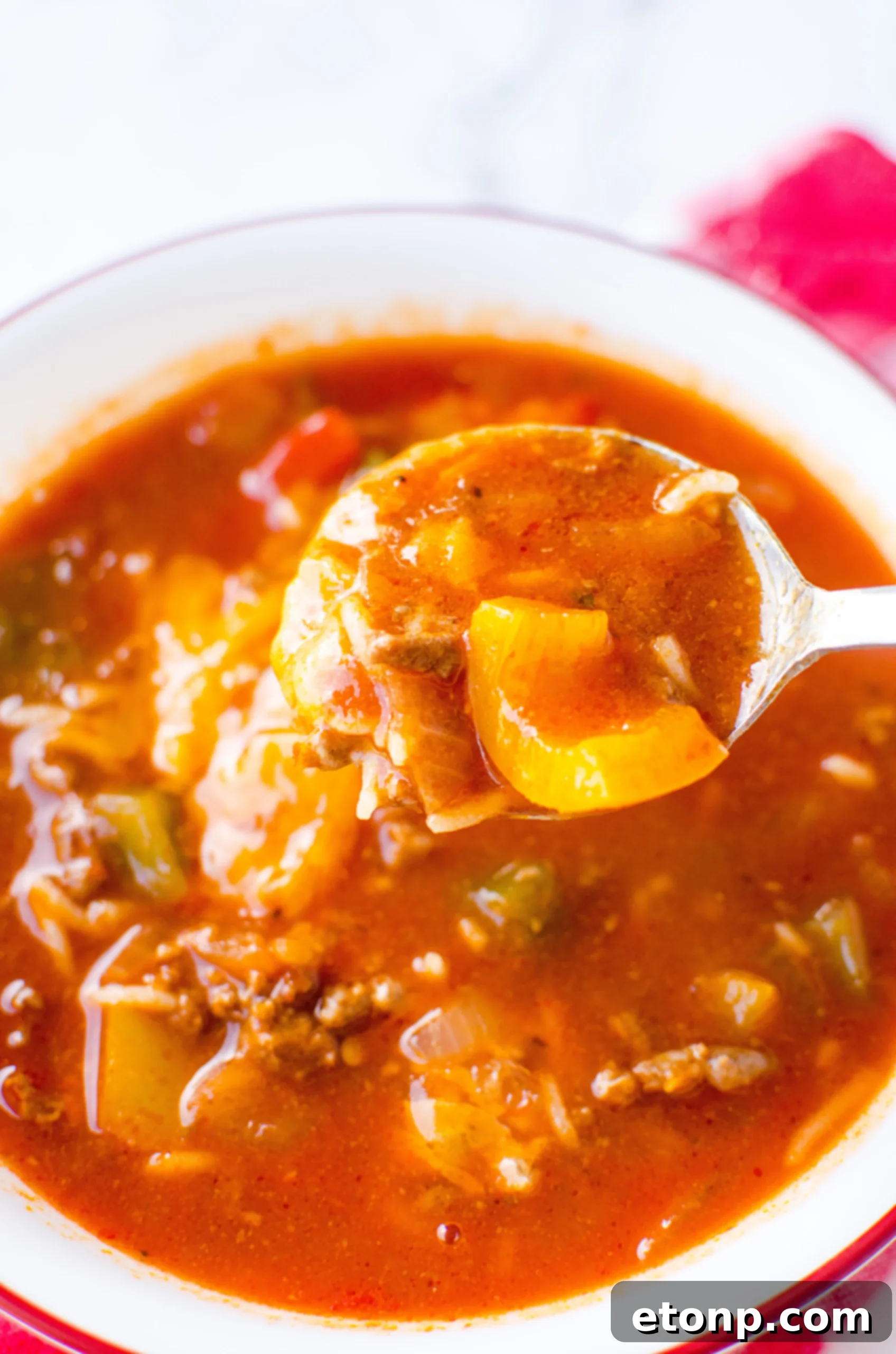 Stuffed Pepper Soup in a beautifully set bowl, garnished with a sprig of fresh herb, inviting to eat.