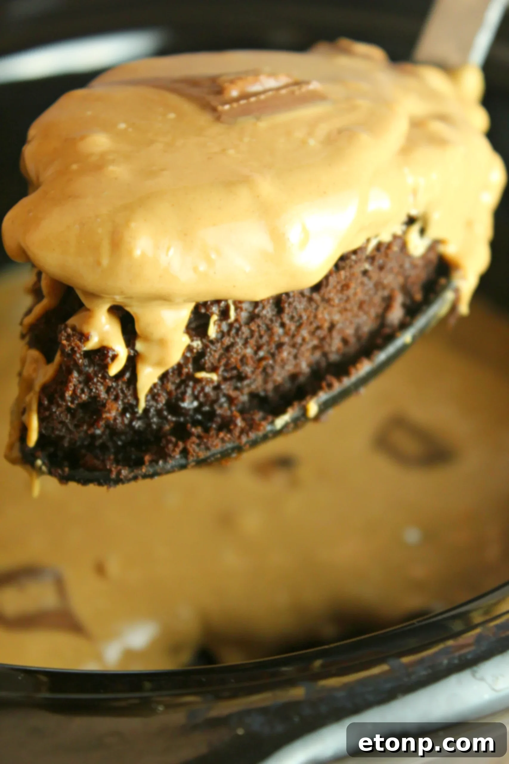 Decadent slice of Slow Cooker Reese's Peanut Butter Chocolate Cake topped with frosting and mini Reese's cups