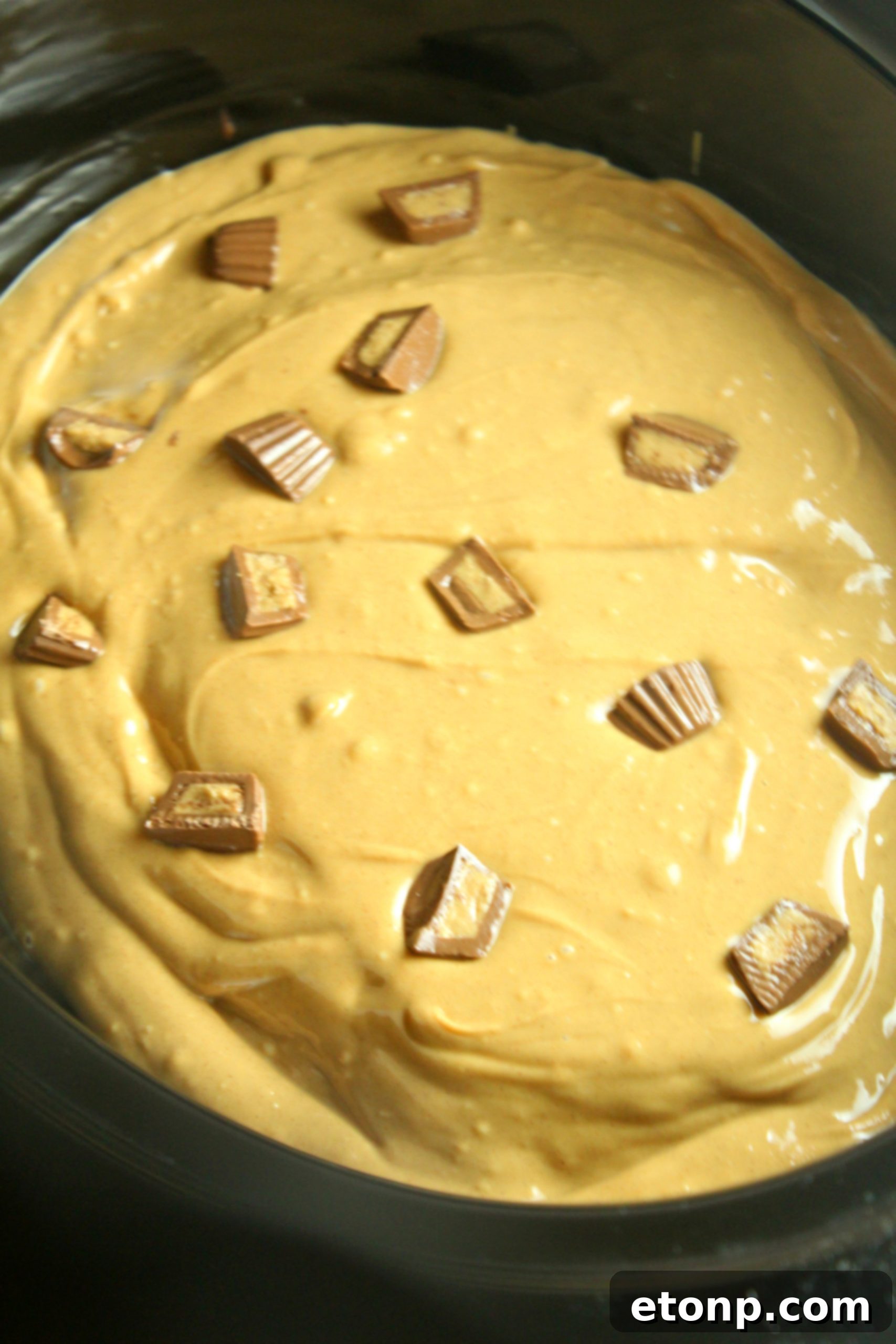 Another view of the moist Slow Cooker Reese's Peanut Butter Chocolate Cake, showcasing its rich texture