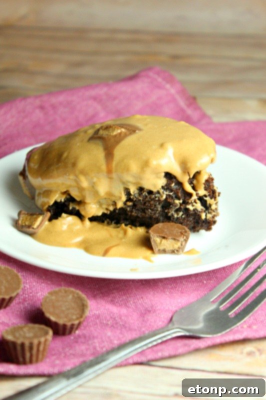 A close-up of a slice of the Reese's Peanut Butter Chocolate Cake, showing its moist interior and generous frosting