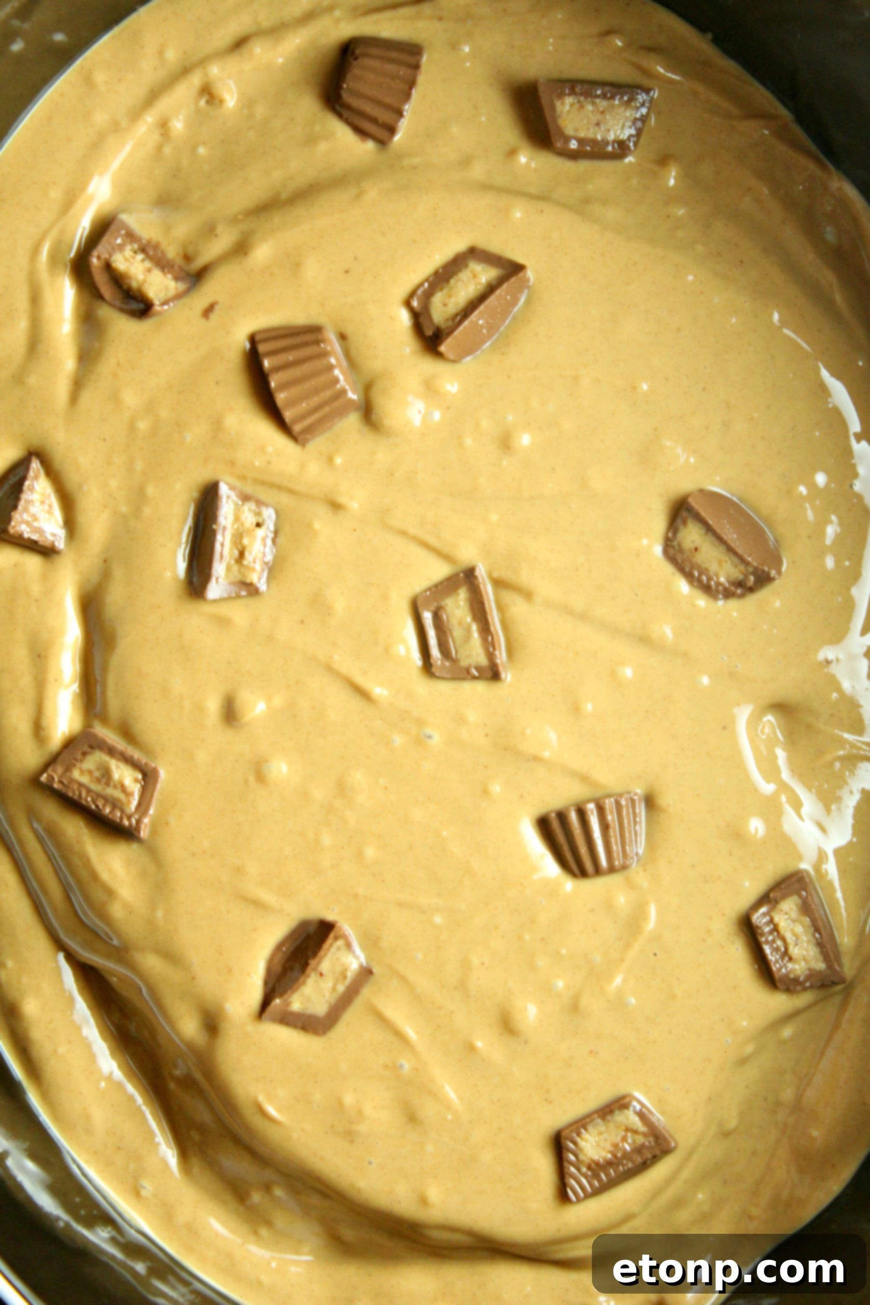 An overhead shot of the Slow Cooker Reese's Peanut Butter Chocolate Cake, beautifully garnished and ready to be served