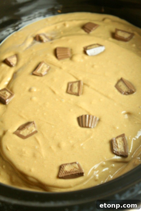 Another enticing close-up of the Slow Cooker Reese's Peanut Butter Chocolate Cake, highlighting its soft crumb