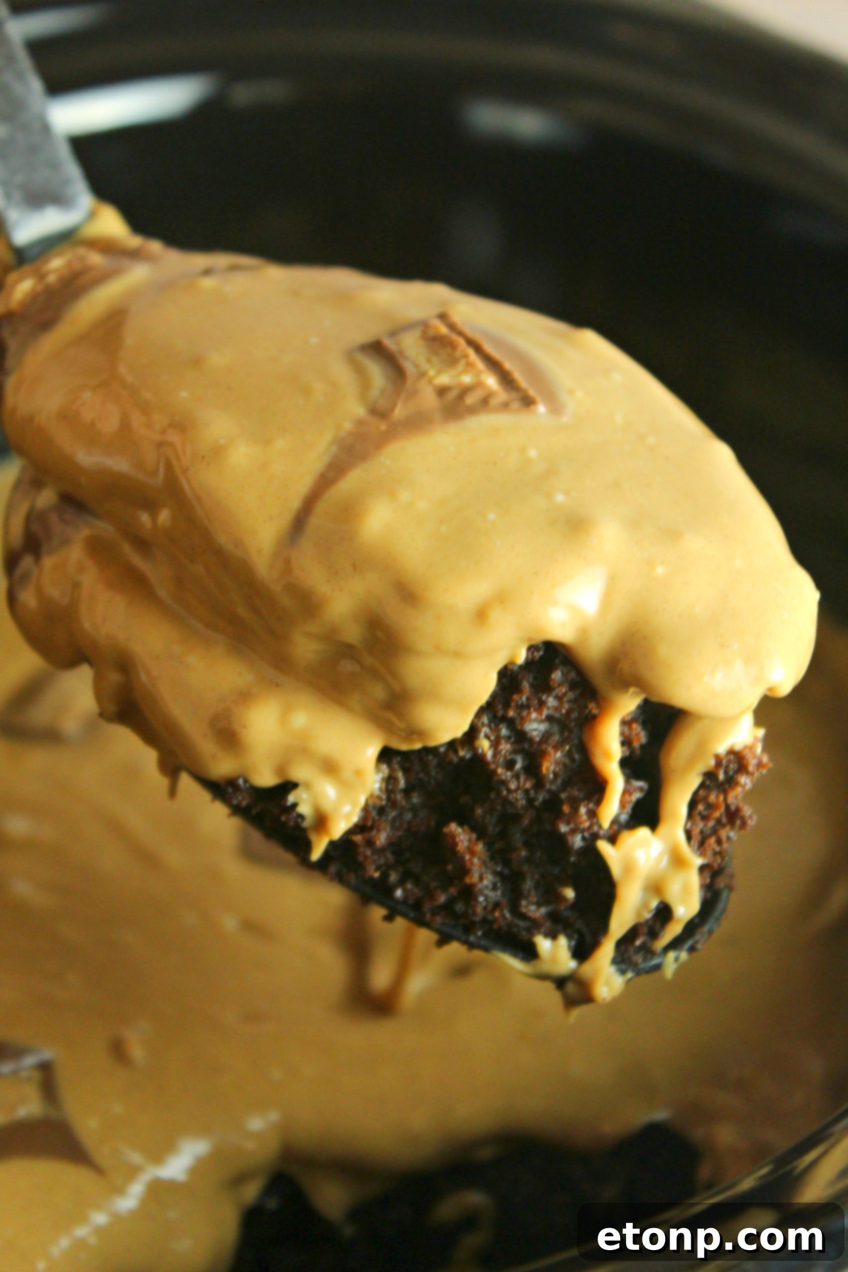 A final, mouth-watering image of the Slow Cooker Reese's Peanut Butter Chocolate Cake, ready for enjoyment