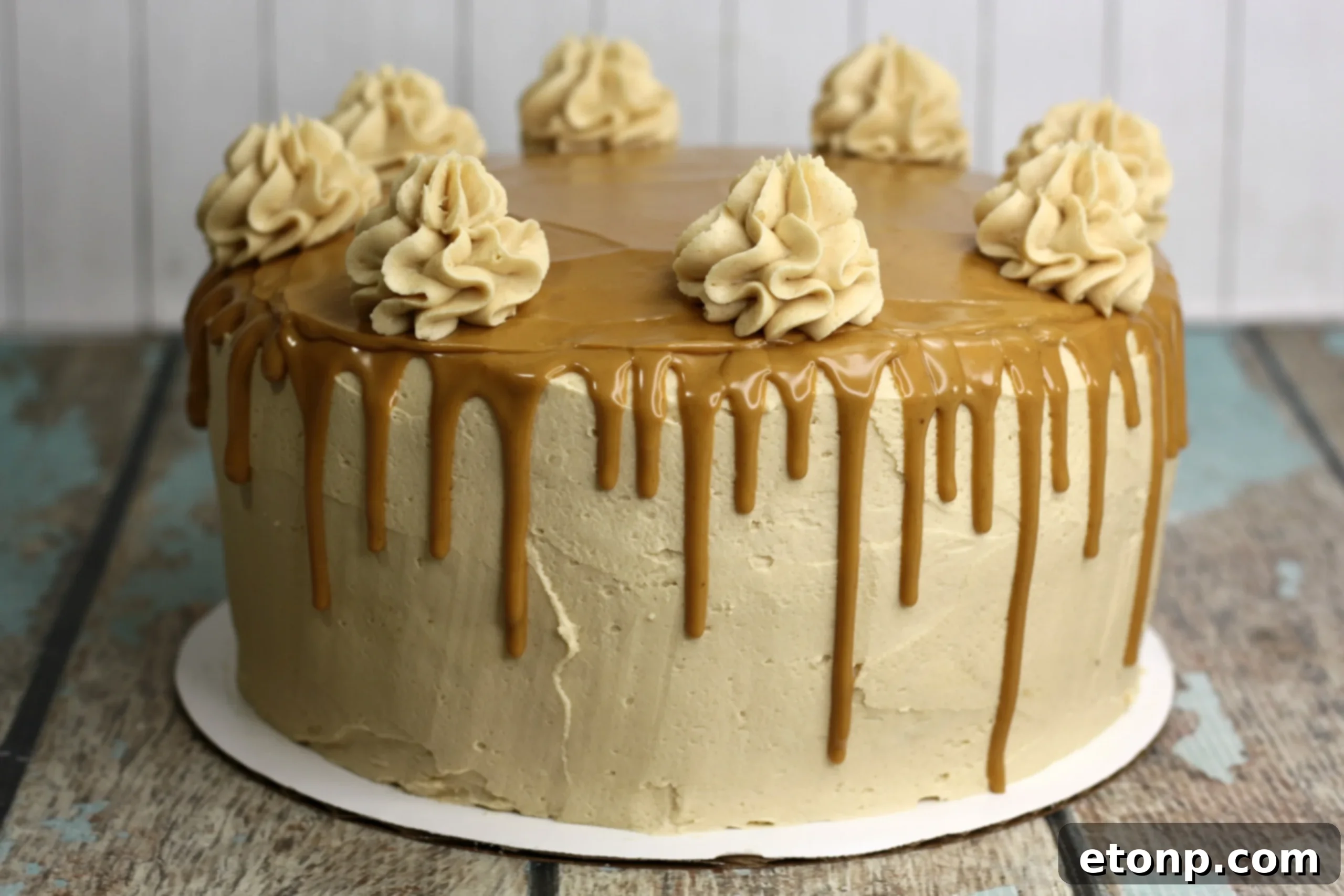 Sinfully Good Peanut Butter Cake 3 Close-up of a slice of peanut butter cake, showing its moist layers and thick frosting.