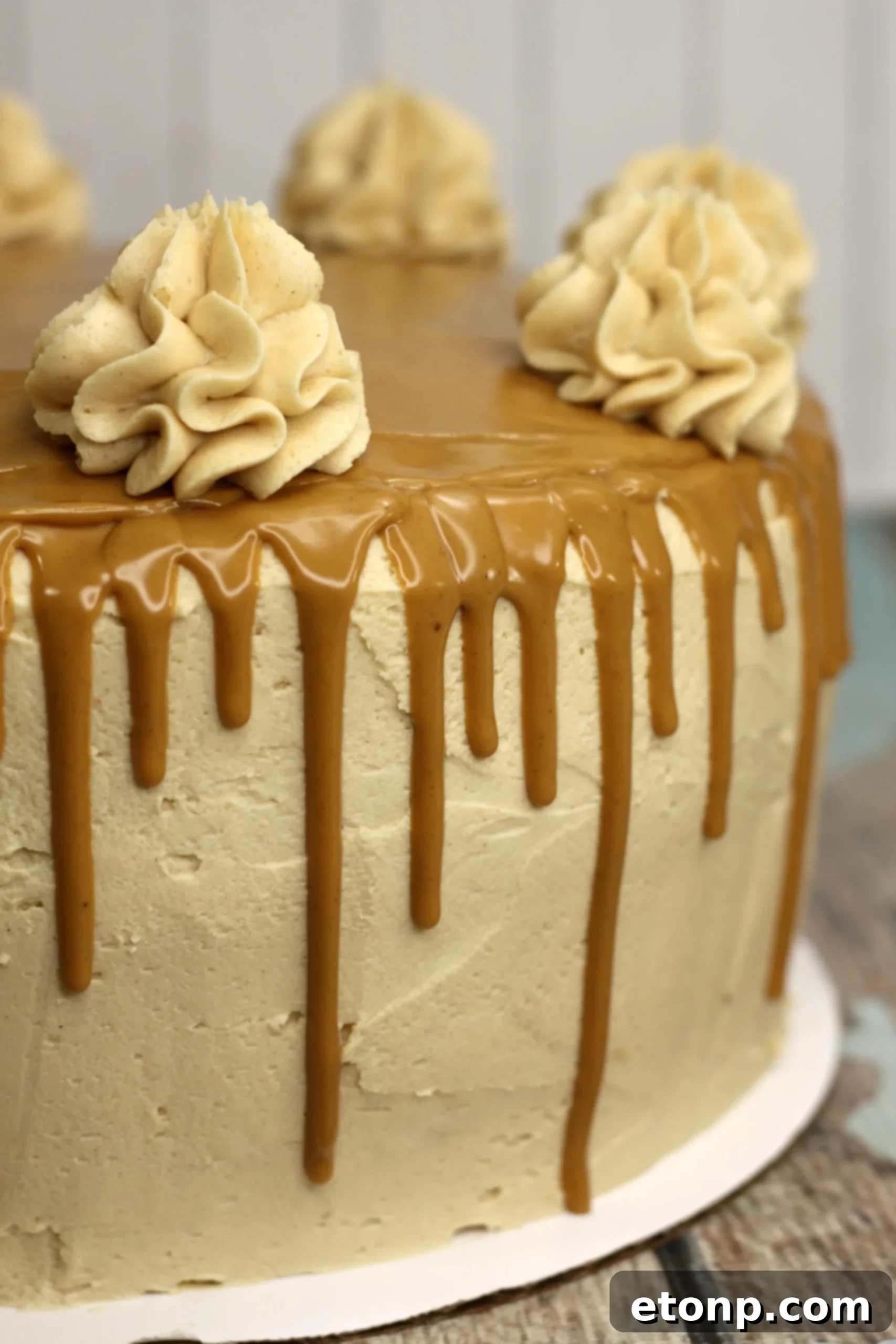 Sinfully Good Peanut Butter Cake 5 Another close-up of the peanut butter cake, highlighting its rich, moist texture.