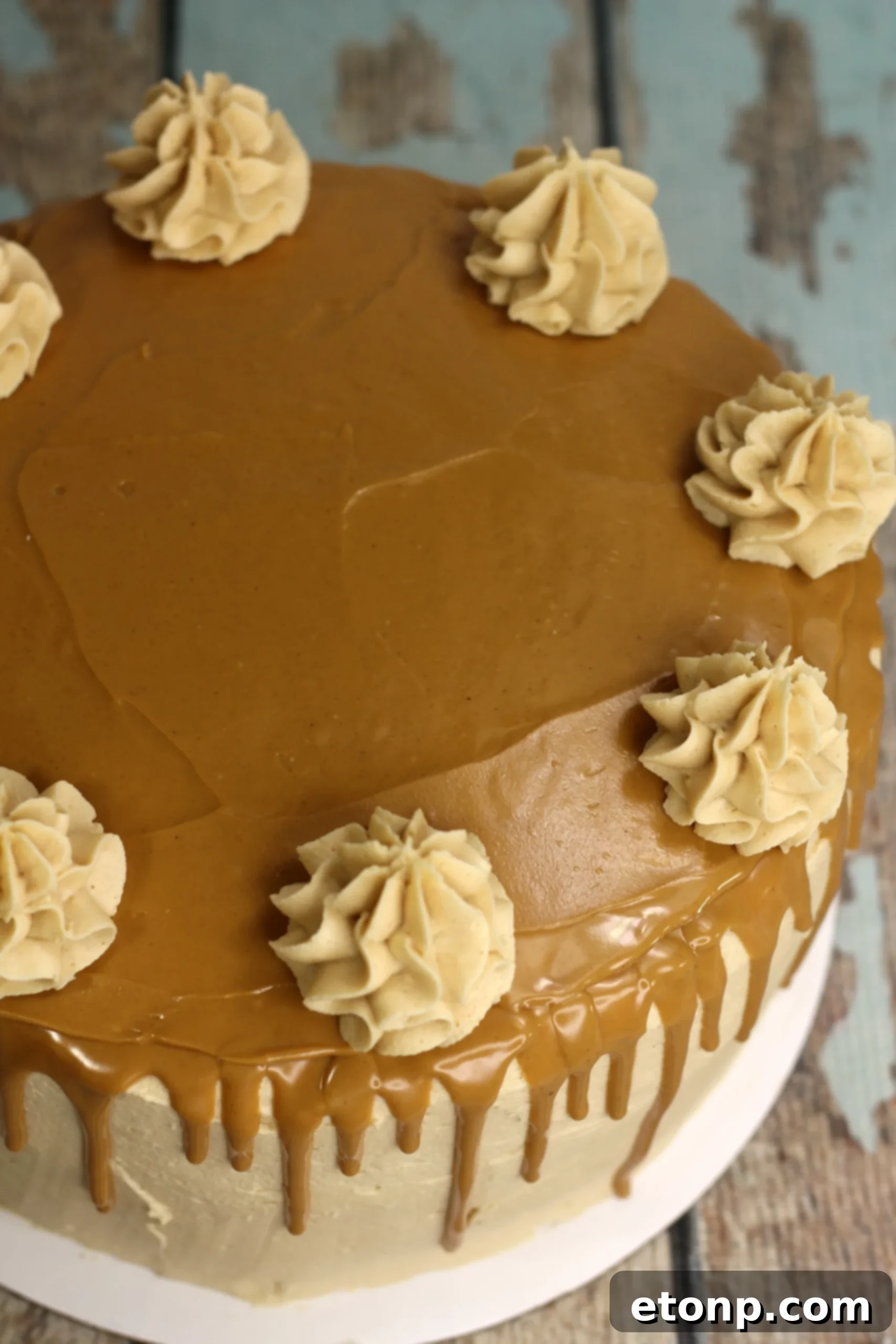 Sinfully Good Peanut Butter Cake 7 A slice of the decadent peanut butter cake, showcasing its rich layers and creamy frosting.
