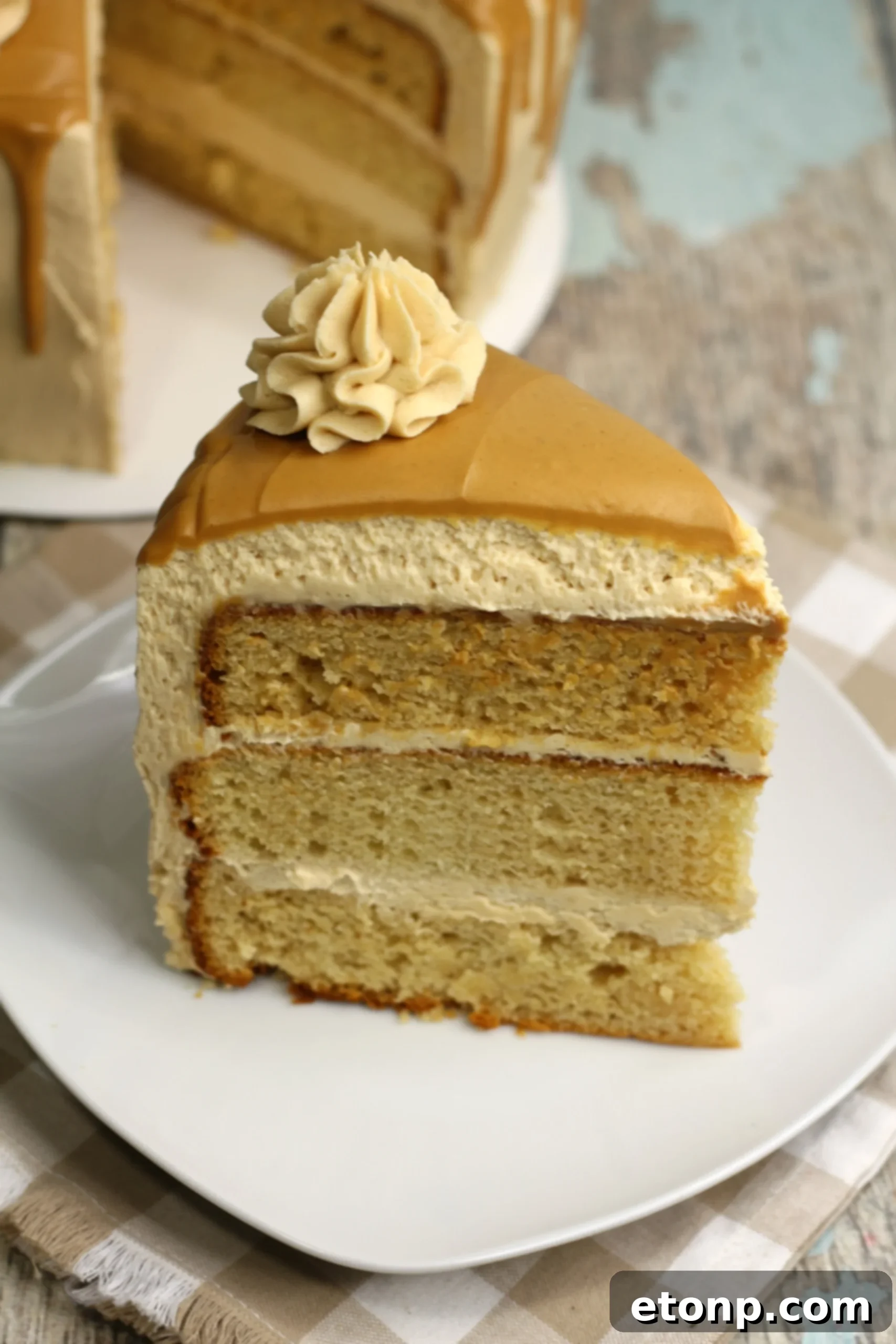 Sinfully Good Peanut Butter Cake 9 A close-up shot of the peanut butter cake, emphasizing its appealing texture and delicious appearance.