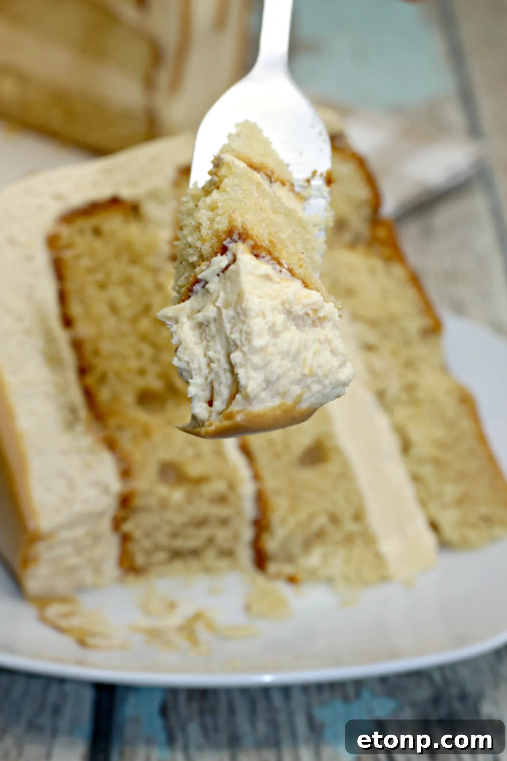 Sinfully Good Peanut Butter Cake 10 An artistic shot of the peanut butter layered cake with a slightly blurred background.