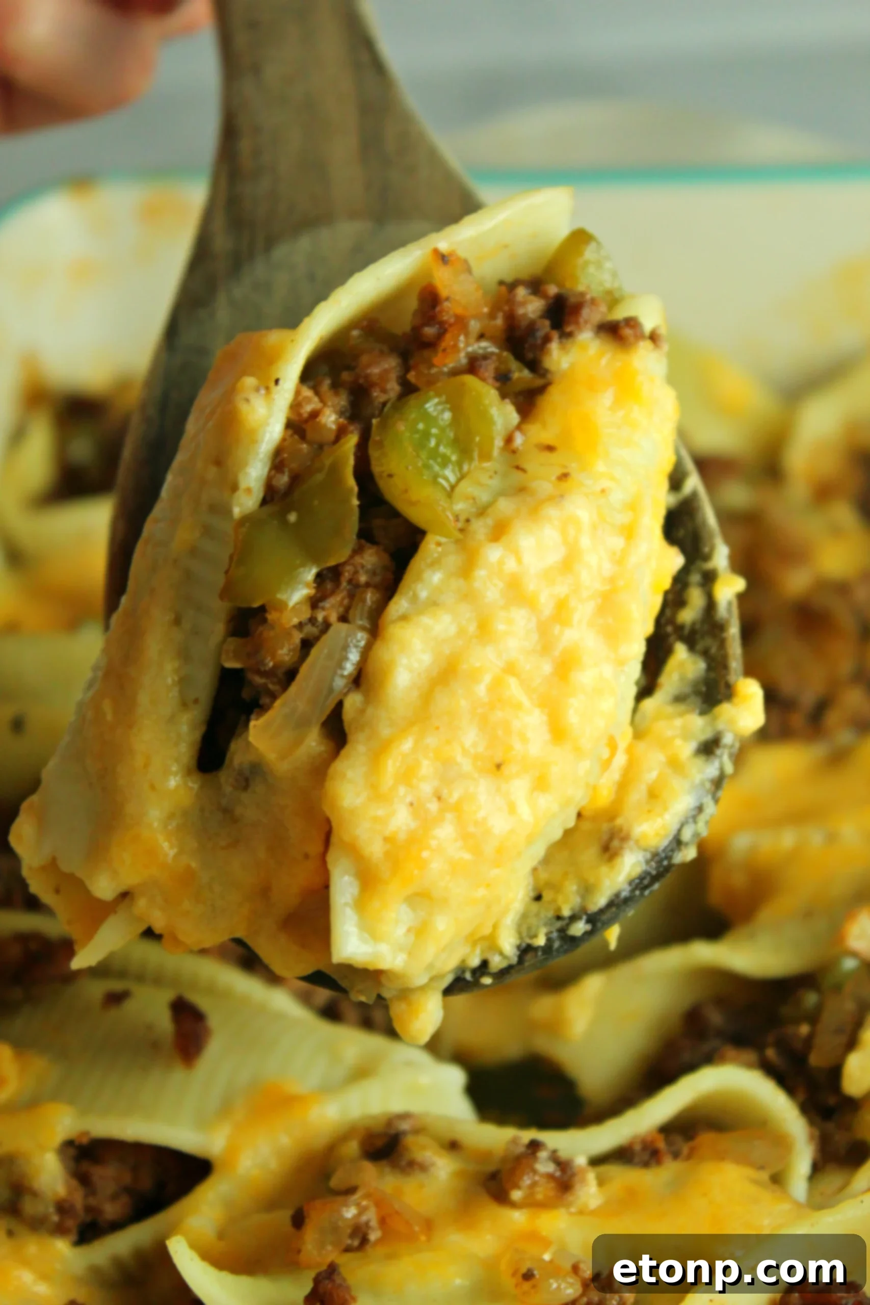 A serving of Philly Cheese Steak Stuffed Shells on a plate, with creamy sauce and herbs.