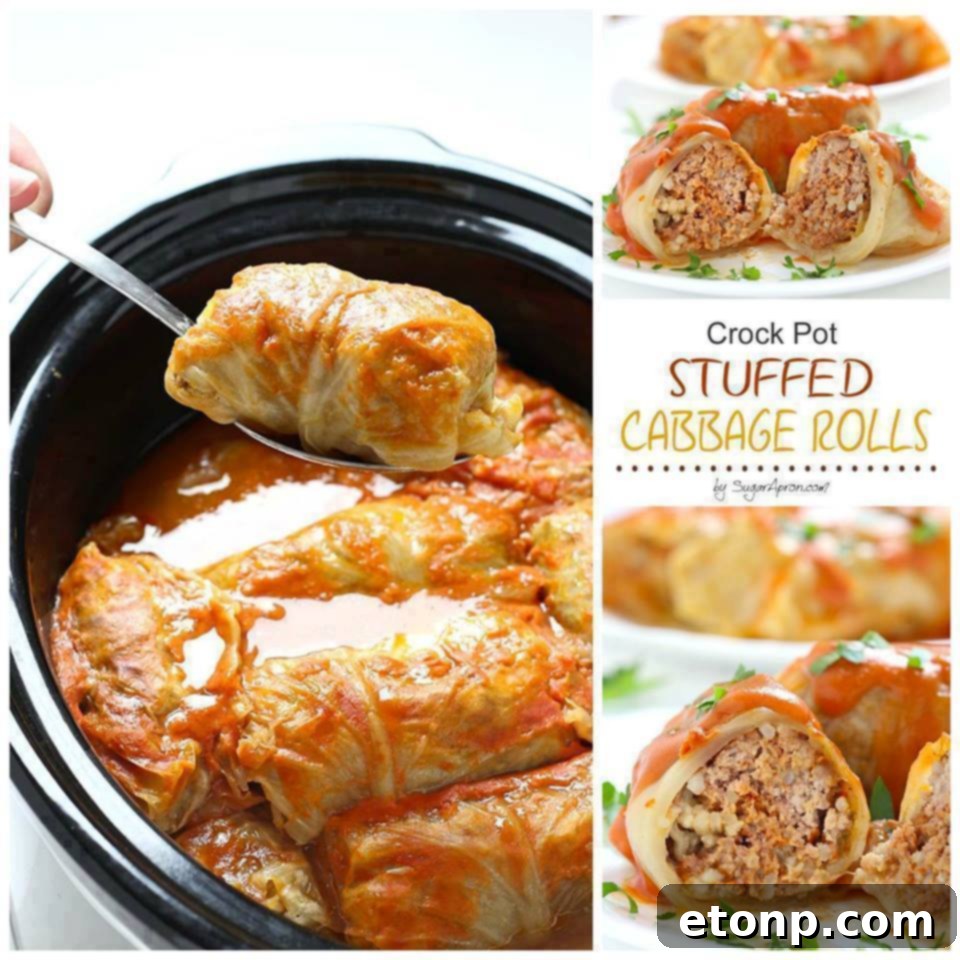 Delicious Crock Pot Stuffed Cabbage Rolls served in a bowl