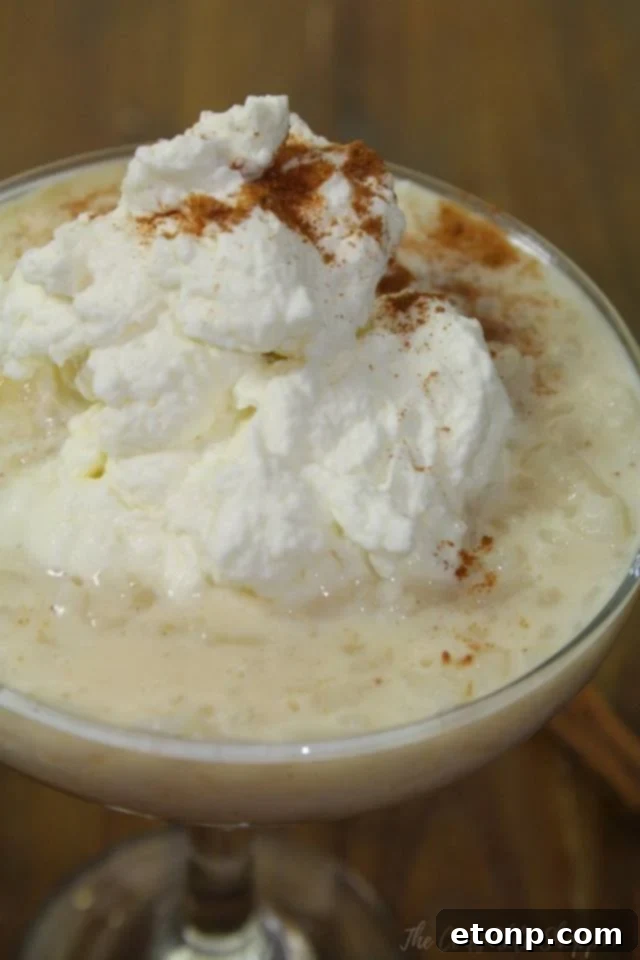 Close-up of creamy Instant Pot Vanilla Rice Pudding in a bowl