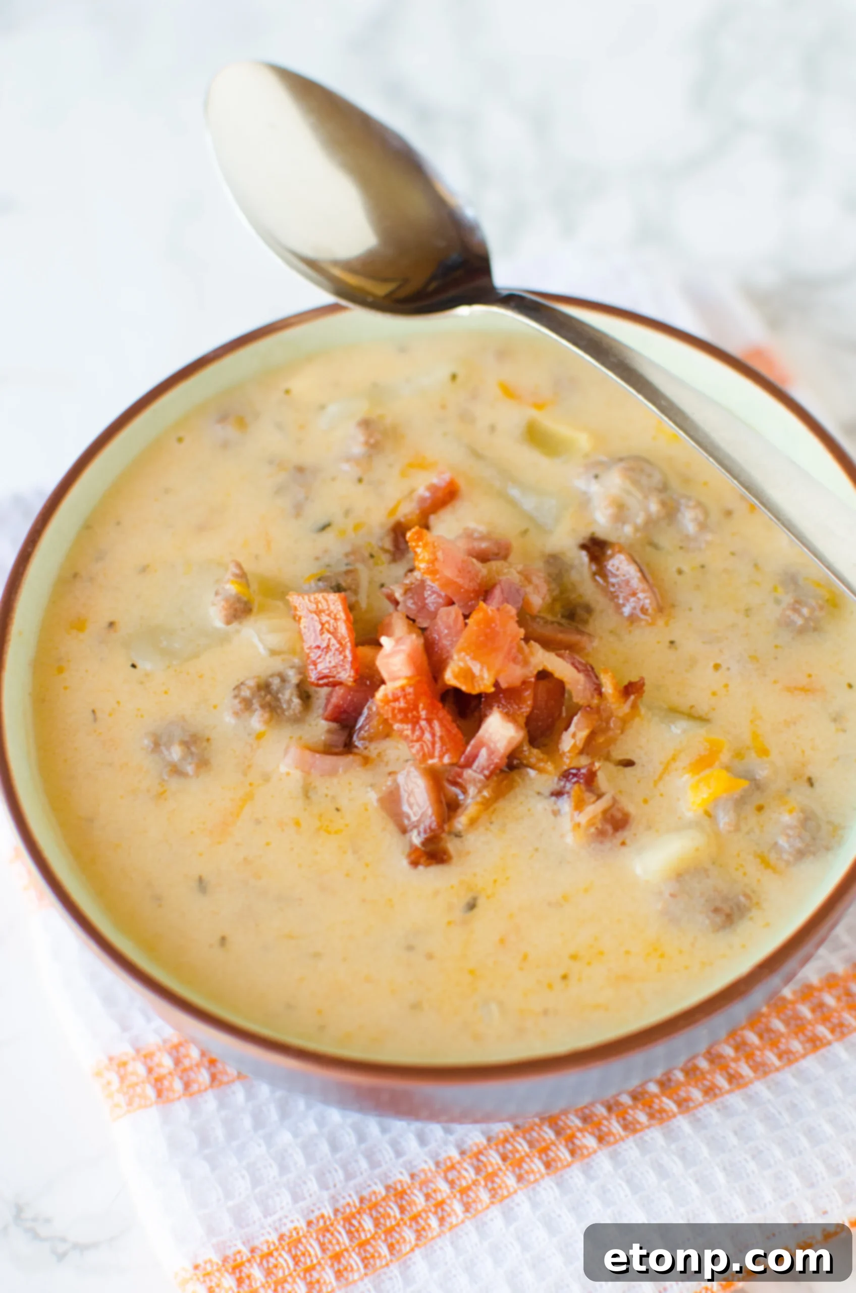 A serving of Slow Cooker Cheeseburger Soup, garnished generously with fresh toppings, ready to eat.