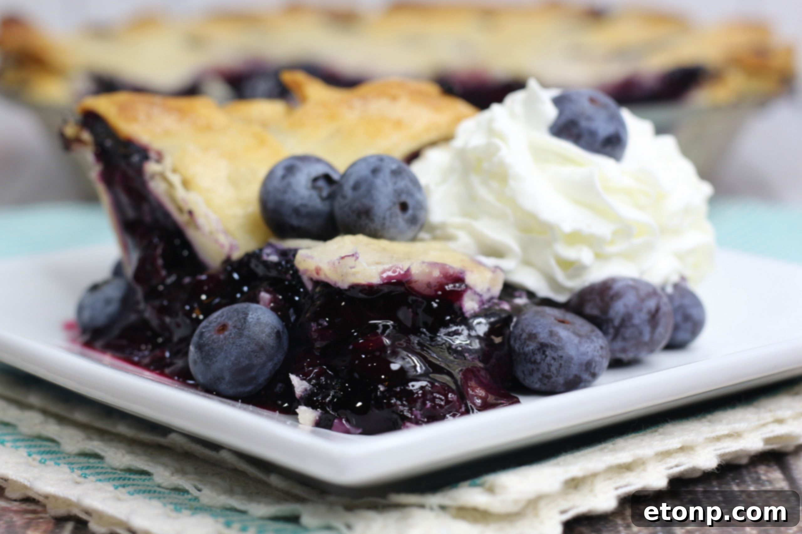 Blueberry pie ready for serving, highlighting its golden crust and fruit