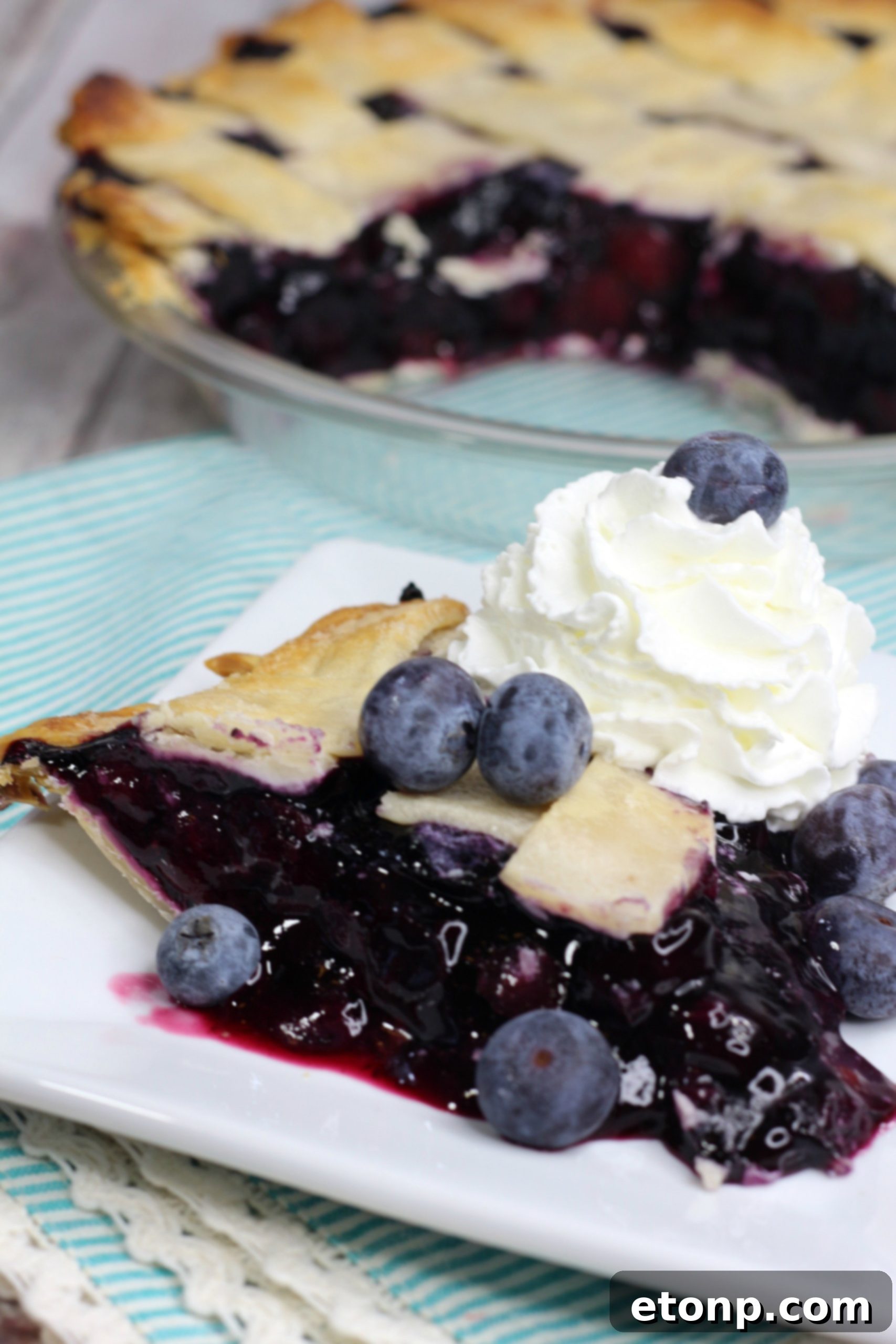 A slice of blueberry pie topped with vanilla ice cream and whipped cream